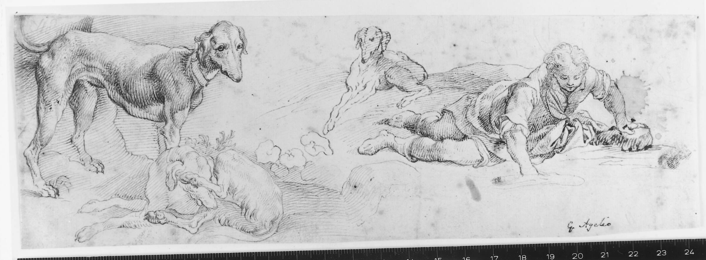 Narcissus (?) med tre hunde, Giuseppe Agellio, 1570-1650