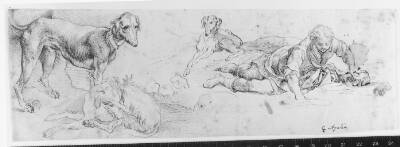 Narcissus (?) med tre hunde
