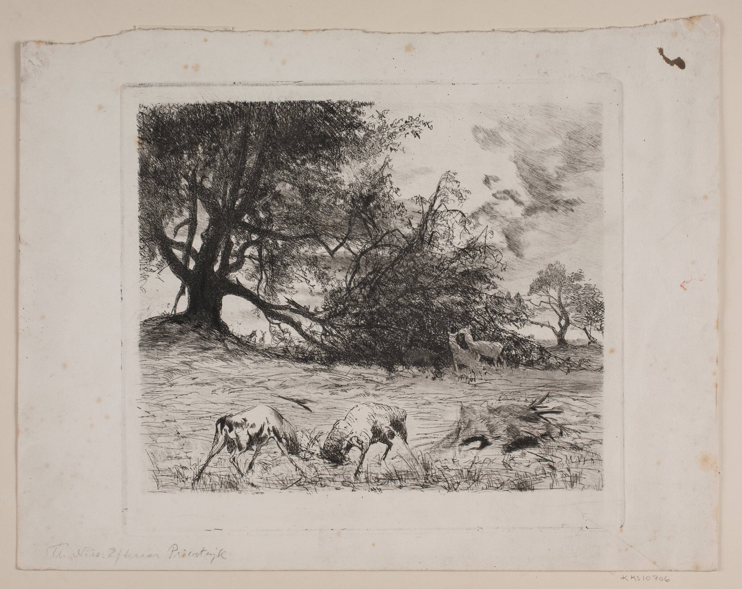 Efterår. Kæmpende hjorte, Thorvald Niss, 1842-1905