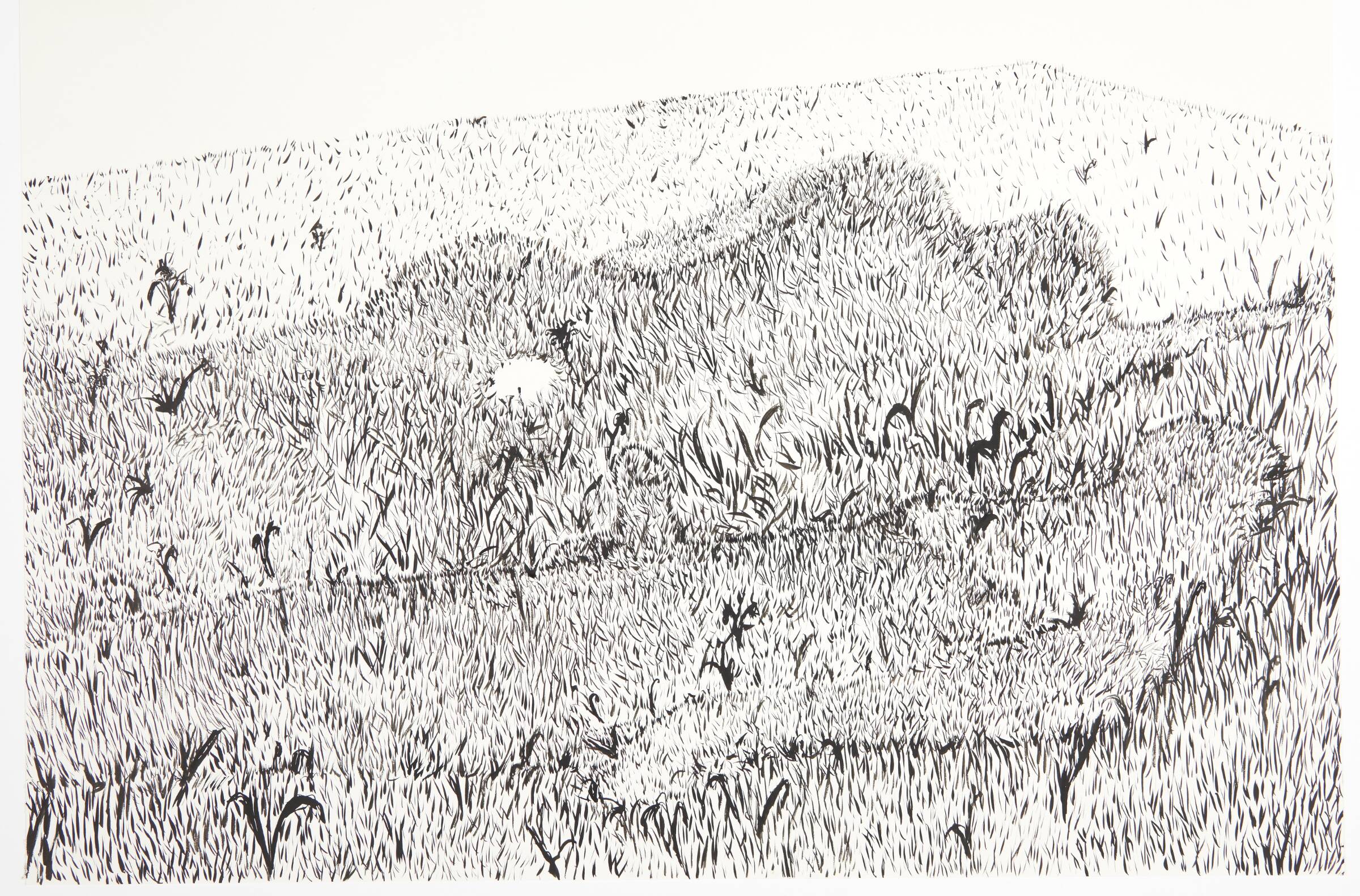Salon, Al Masson, 2003
