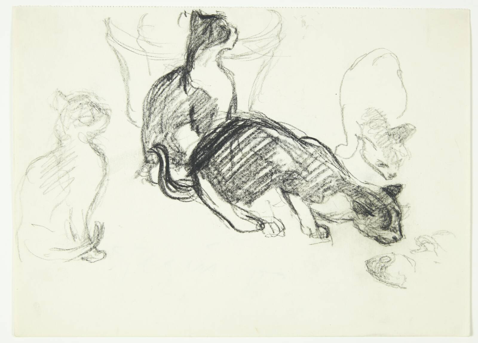 Studieblad med katte, Henrik Schouboe, 1930-1939