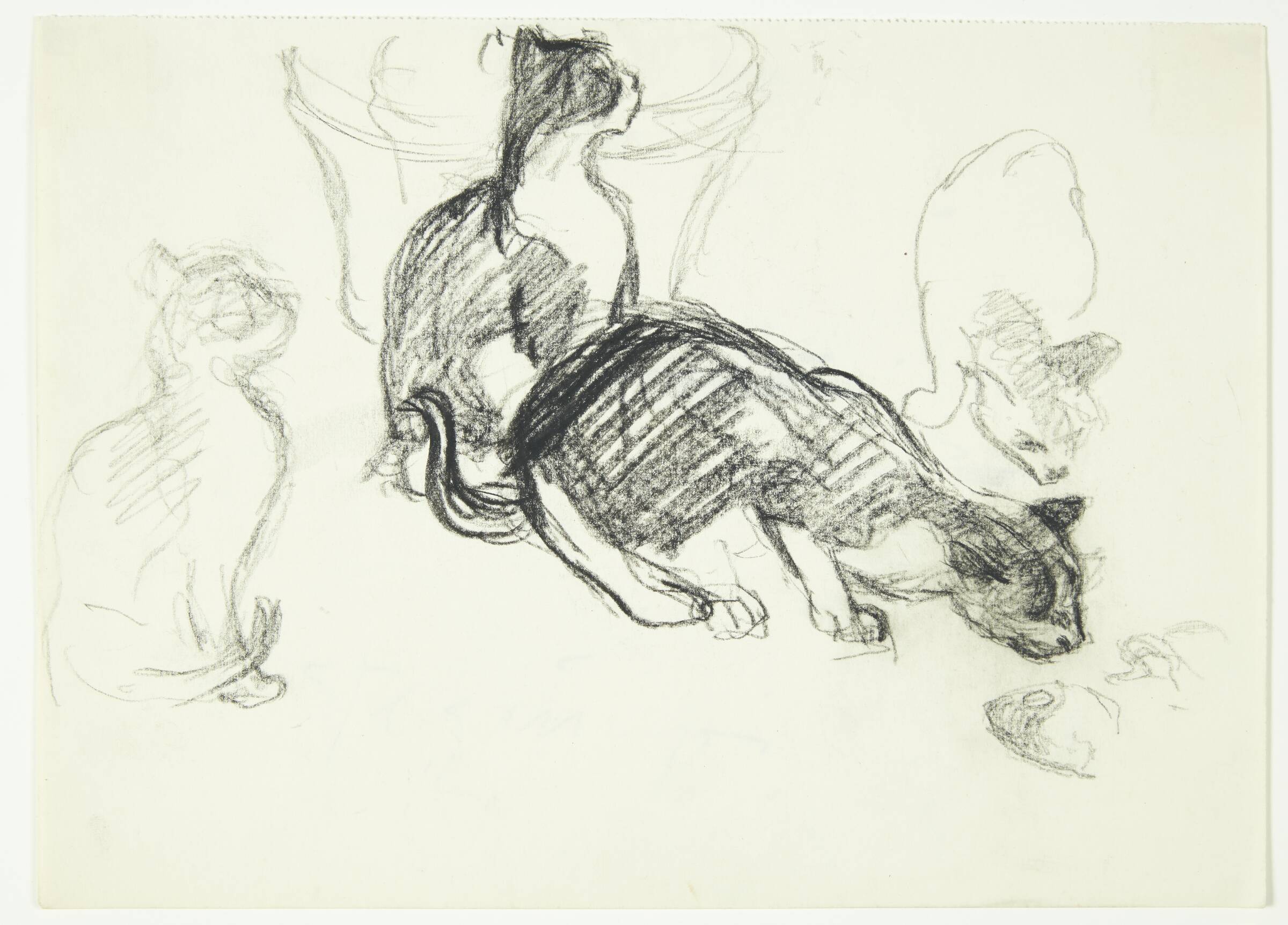 Studieblad med katte, Henrik Schouboe, 1930-1939