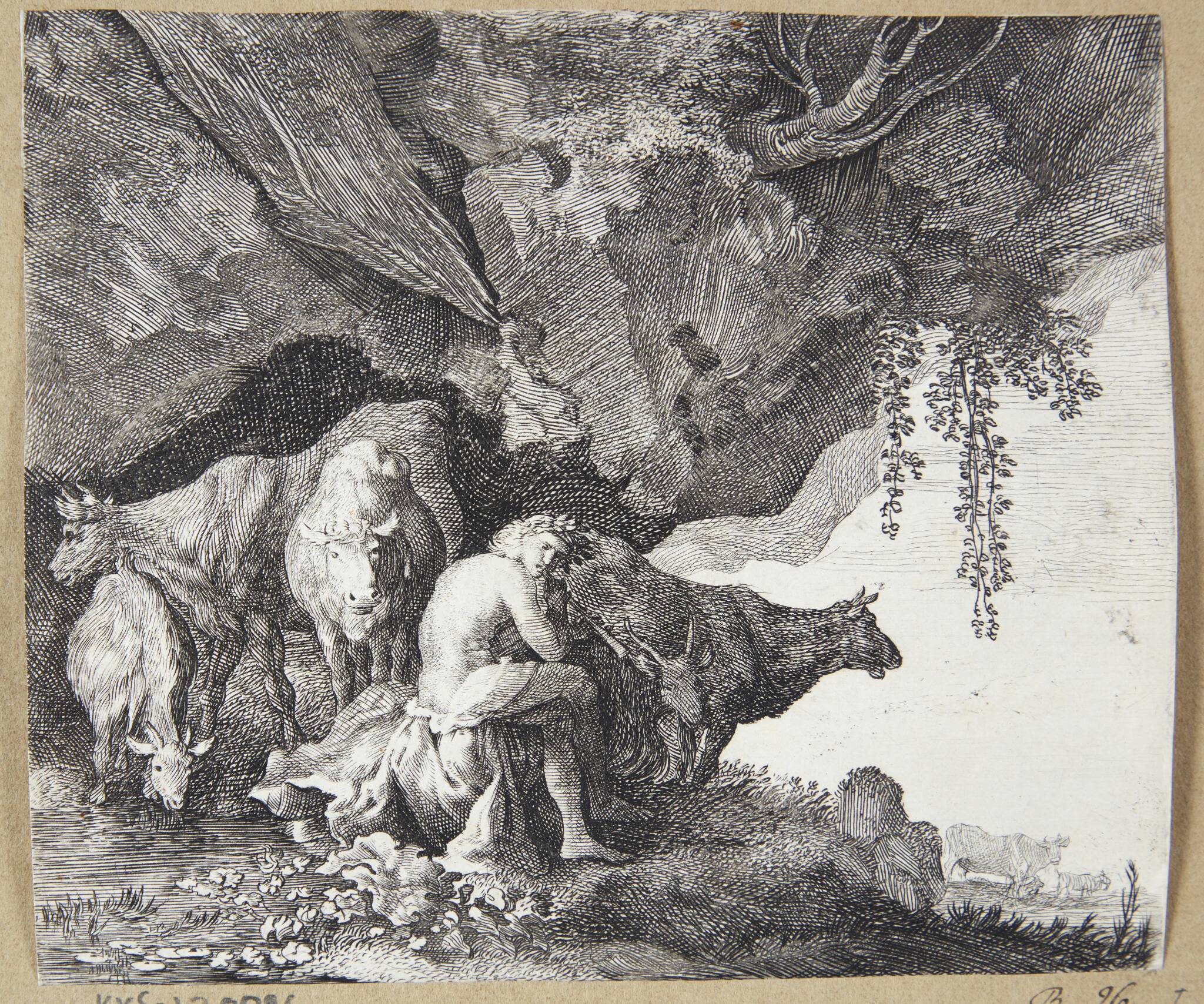 Apollo vogter over sine dyr