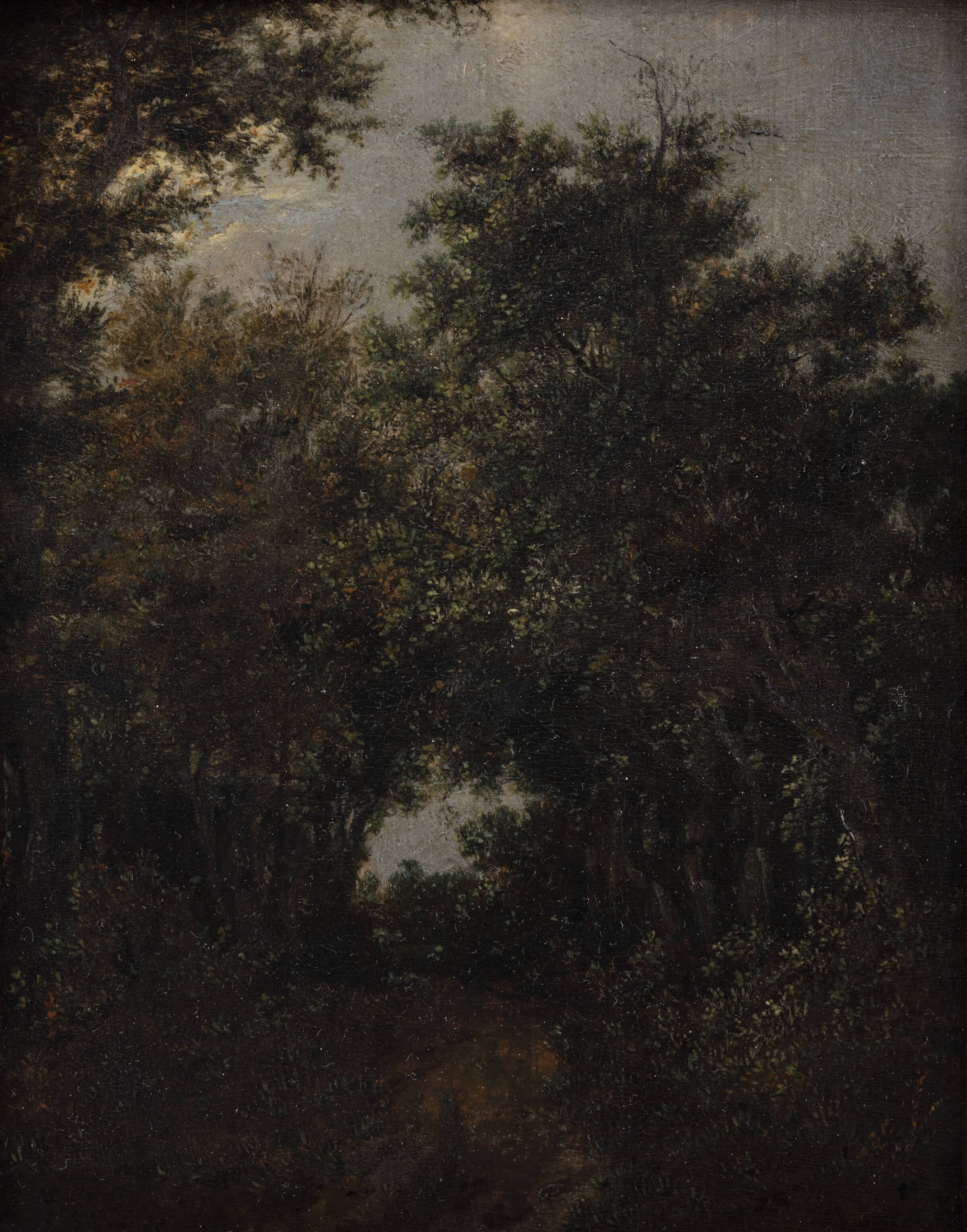 Vej i en egeskov, Jacob Isaacksz. van Ruisdael, 1646