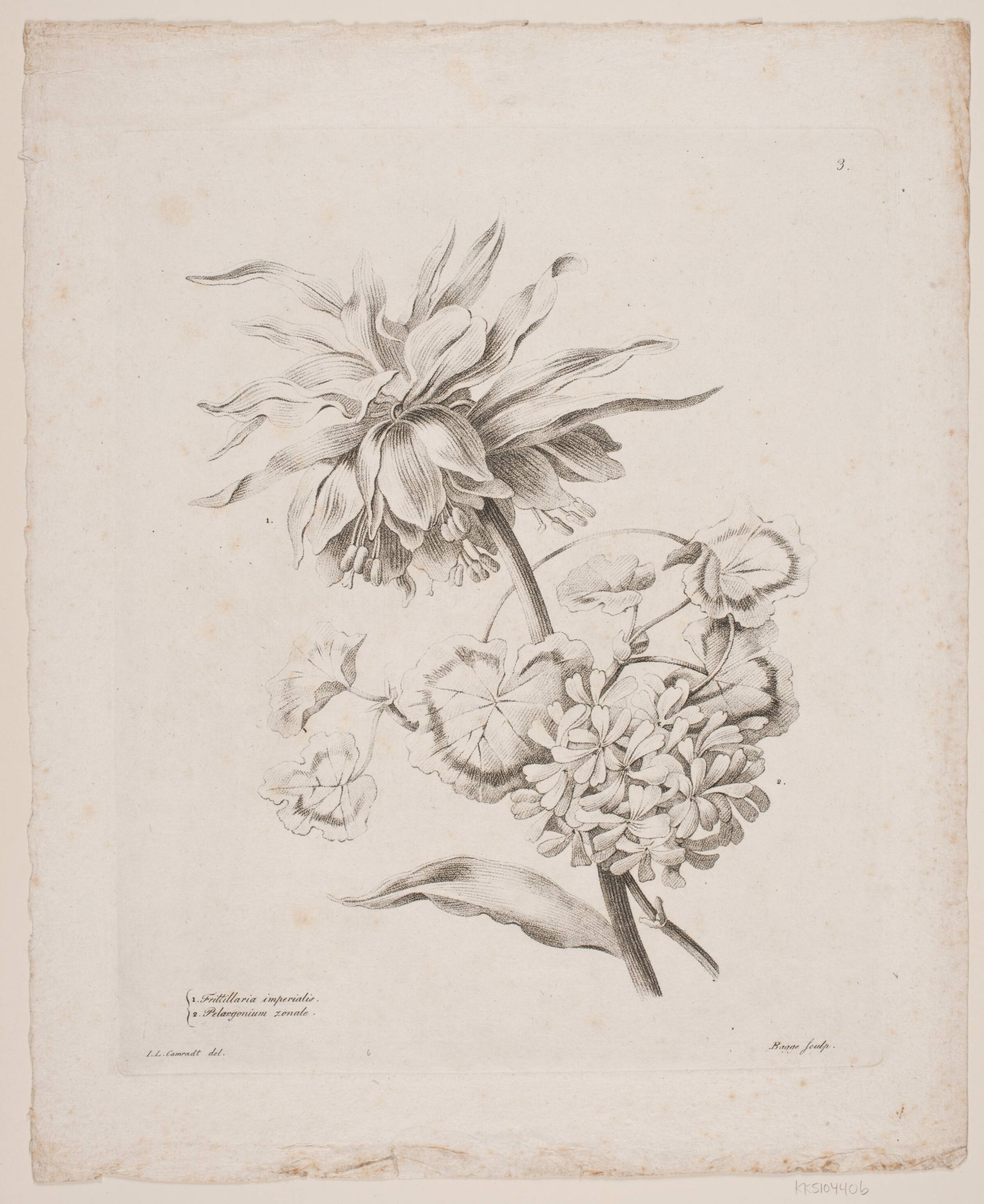 Blomster, Oluf Olufsen Bagge, 1816