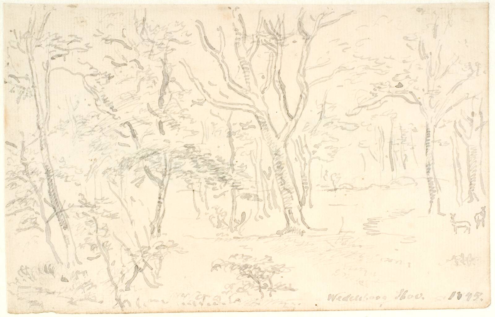 Skovinteriør, Dankvart Dreyer, 1845