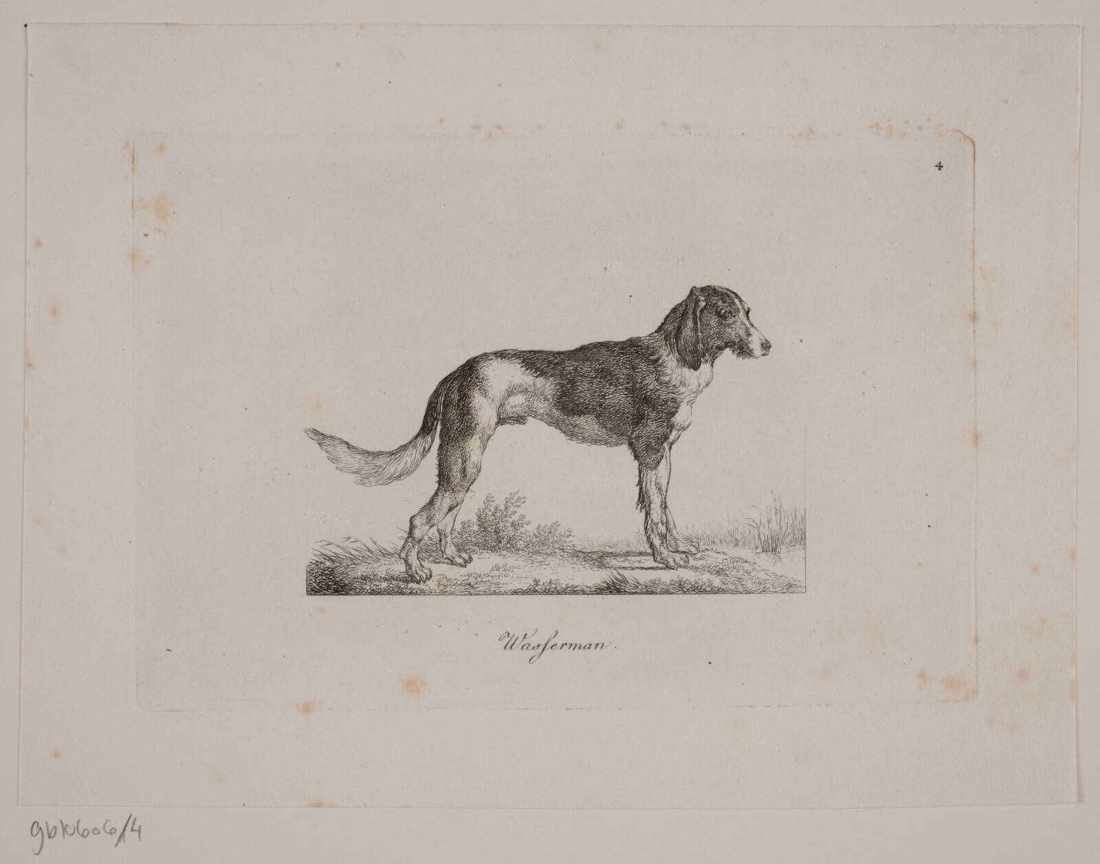 Wasferman, Christian David Gebauer, 1821