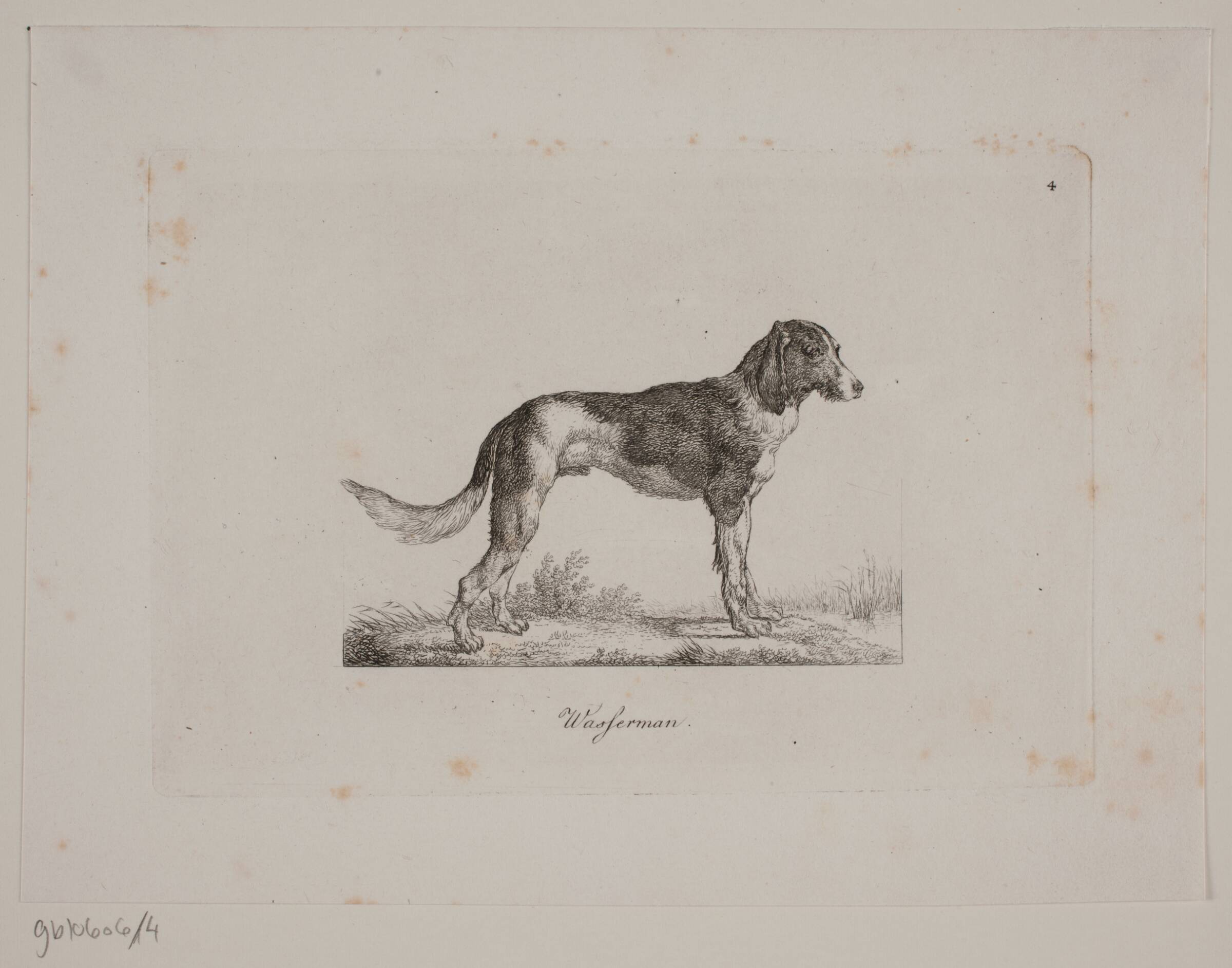Wasferman, Christian David Gebauer, 1821