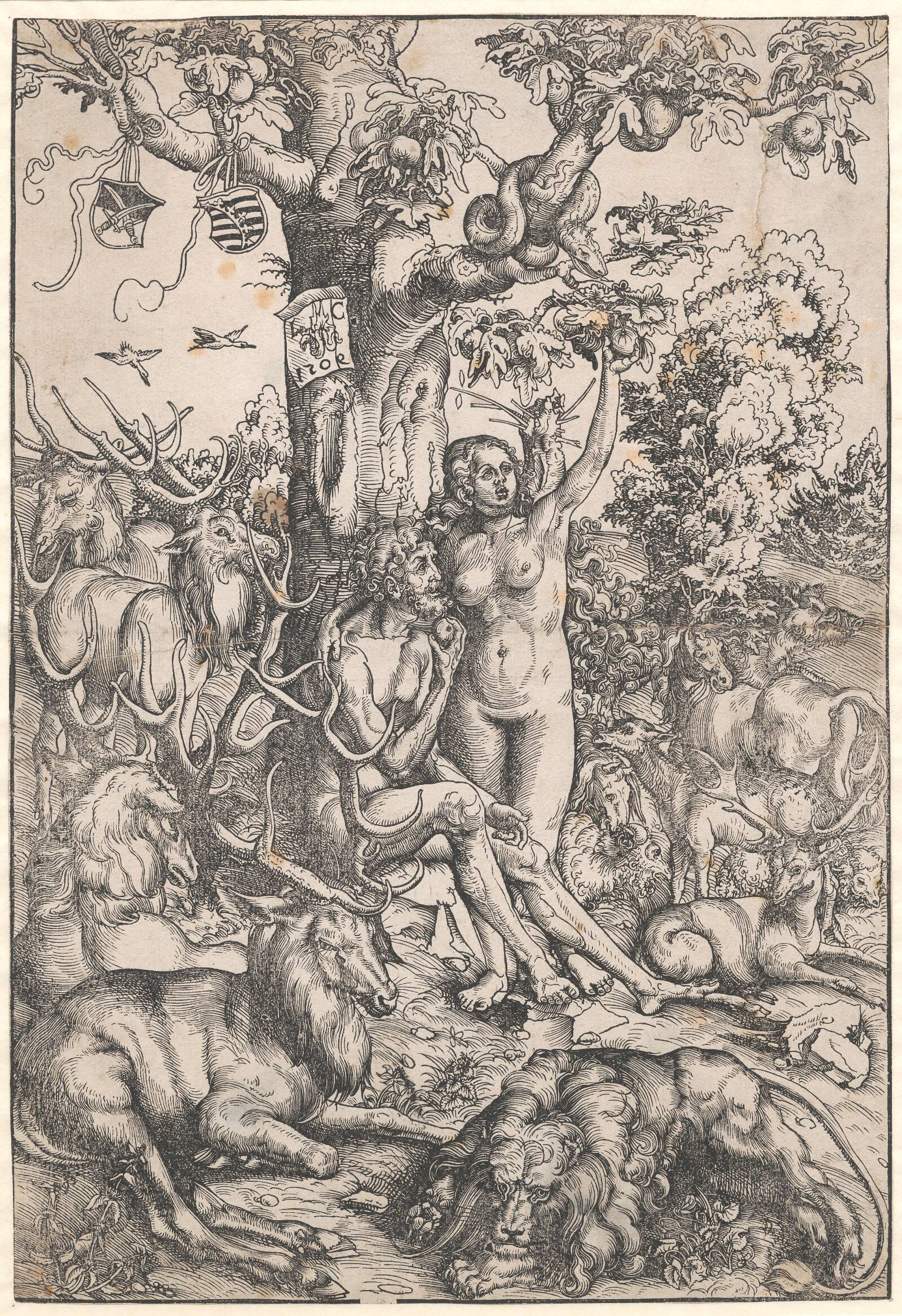 Syndefaldet, Lucas Cranach, 1509