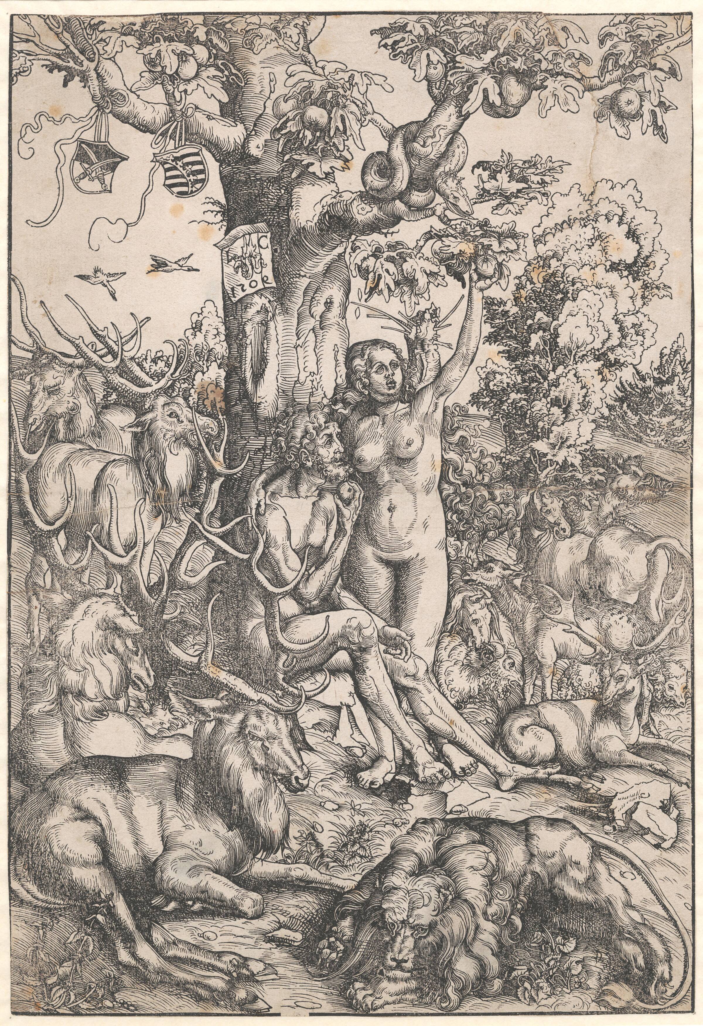 Syndefaldet, Lucas Cranach, 1509