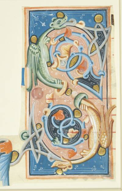 Ornamenteret initial S, hvis buer delvis består af to drager
