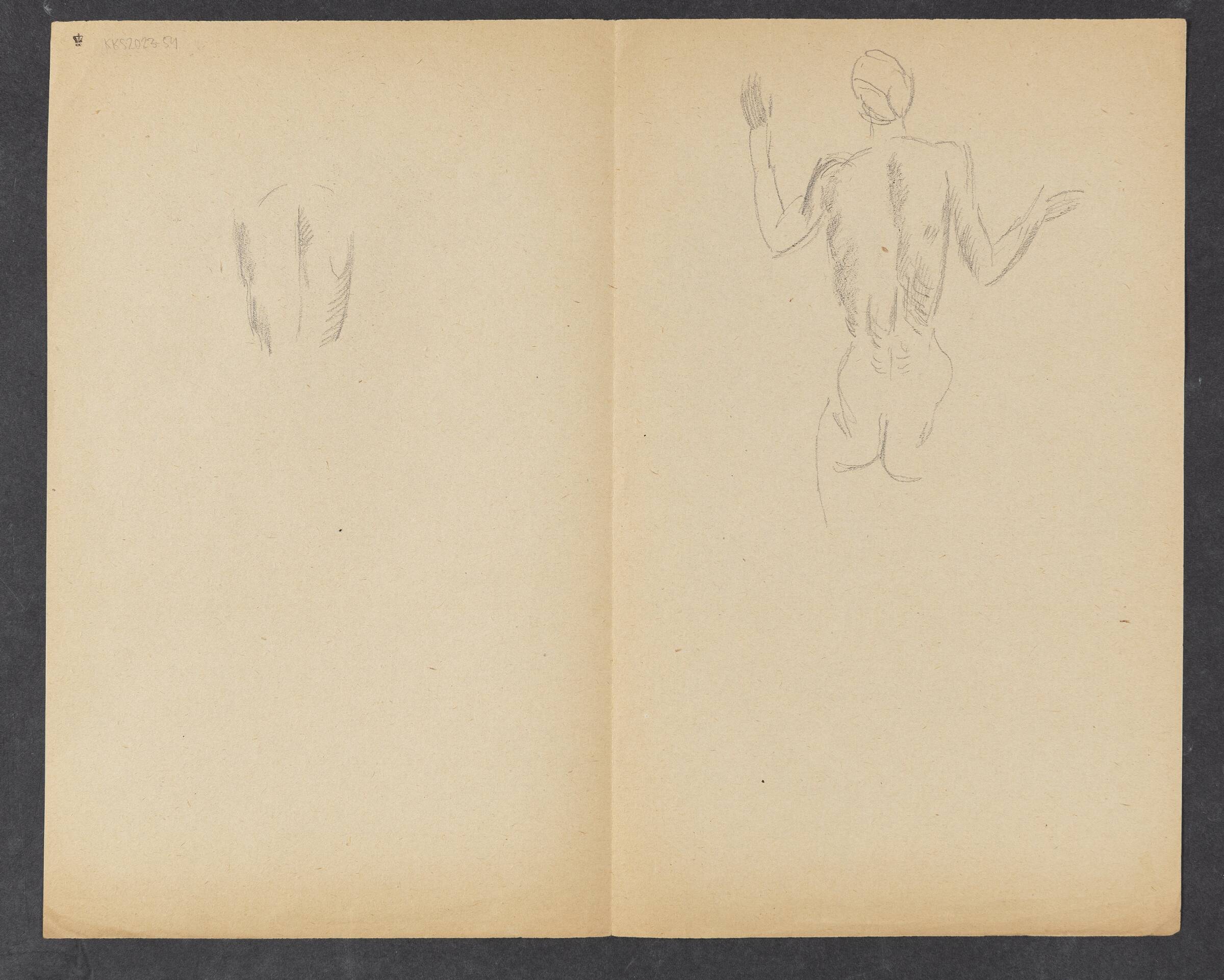 To modelstudier, Astrid Holm, 1876-1937