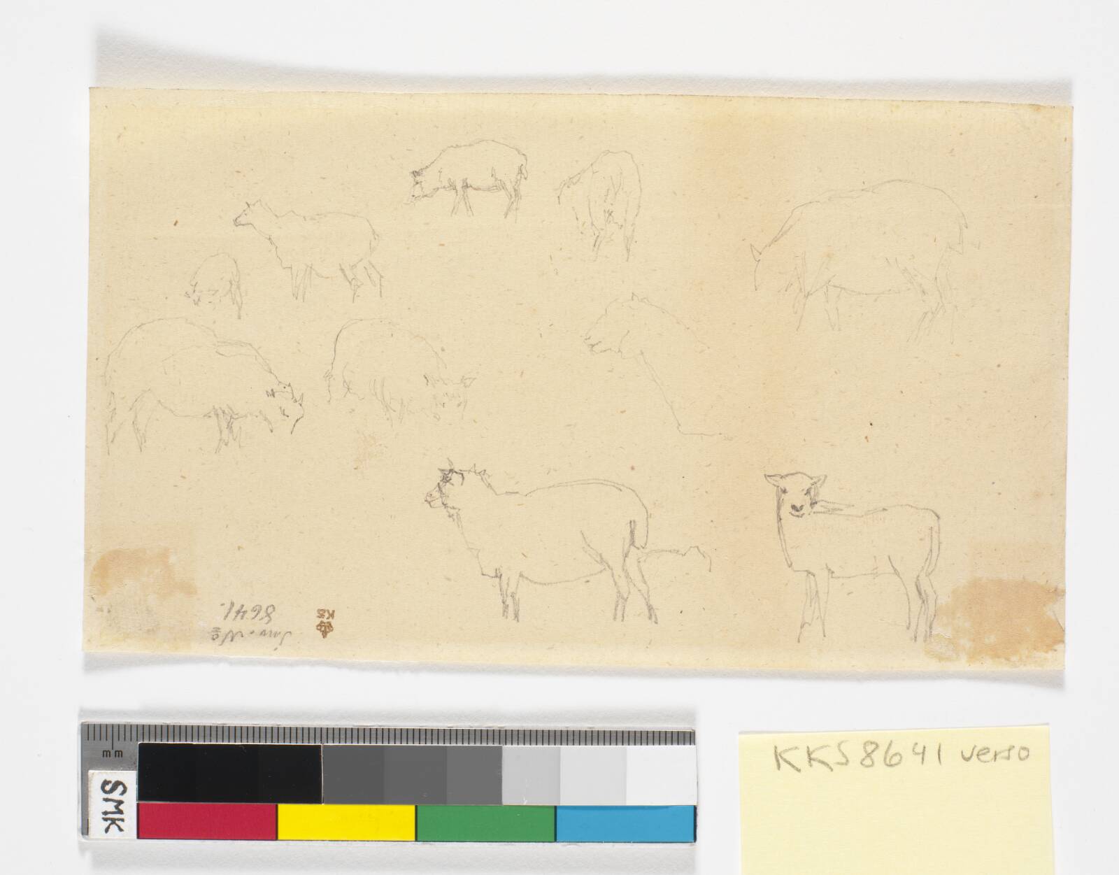 Studier af får og lam, Christen Købke, 1835
