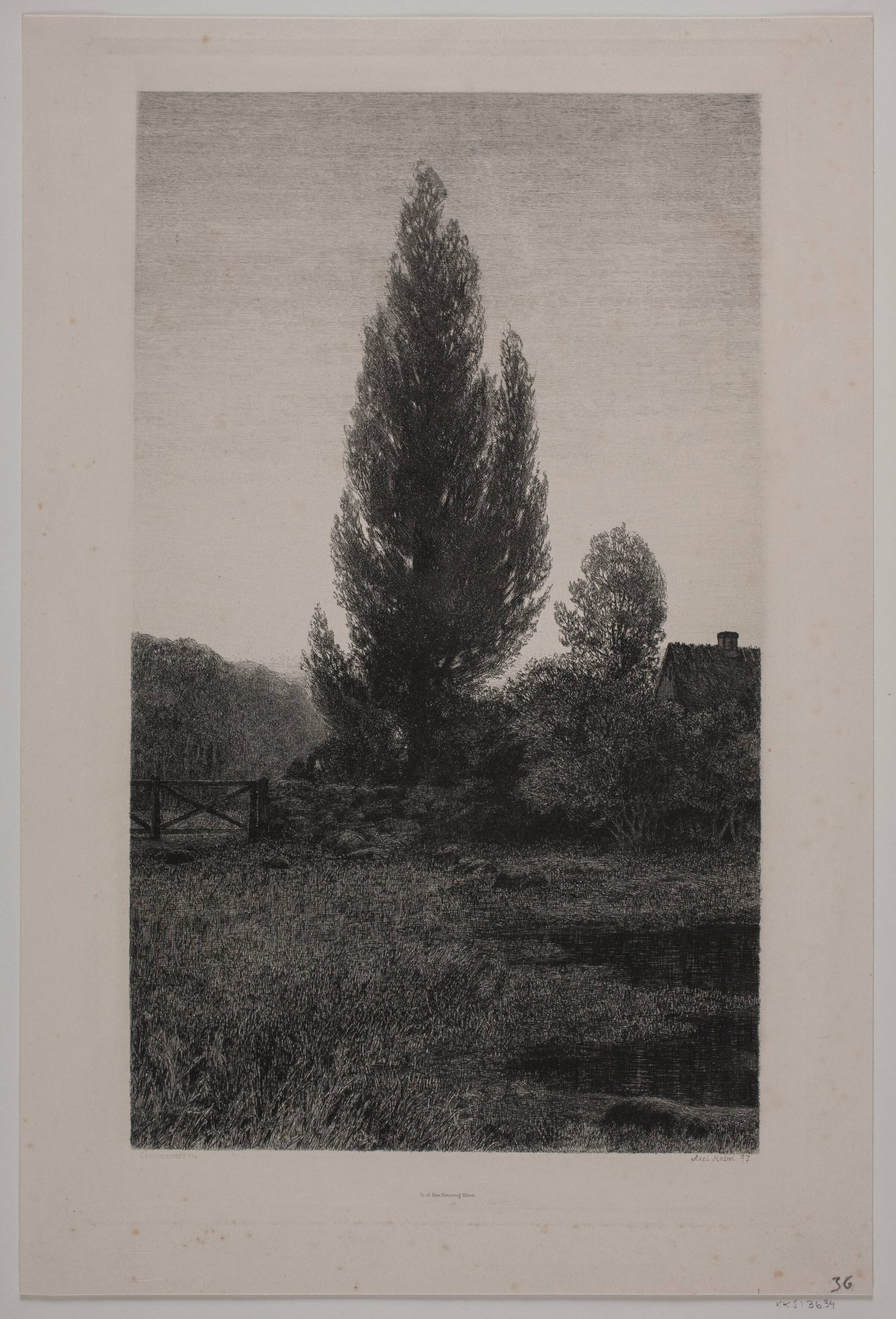 Sommeraften, Axel Holm, 1897