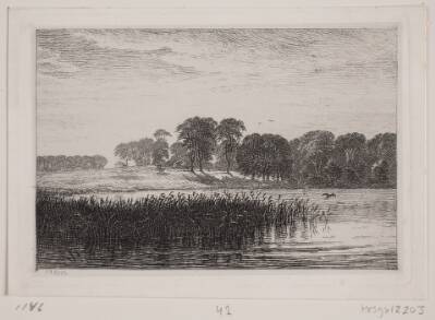 Ved Vesterborg sø