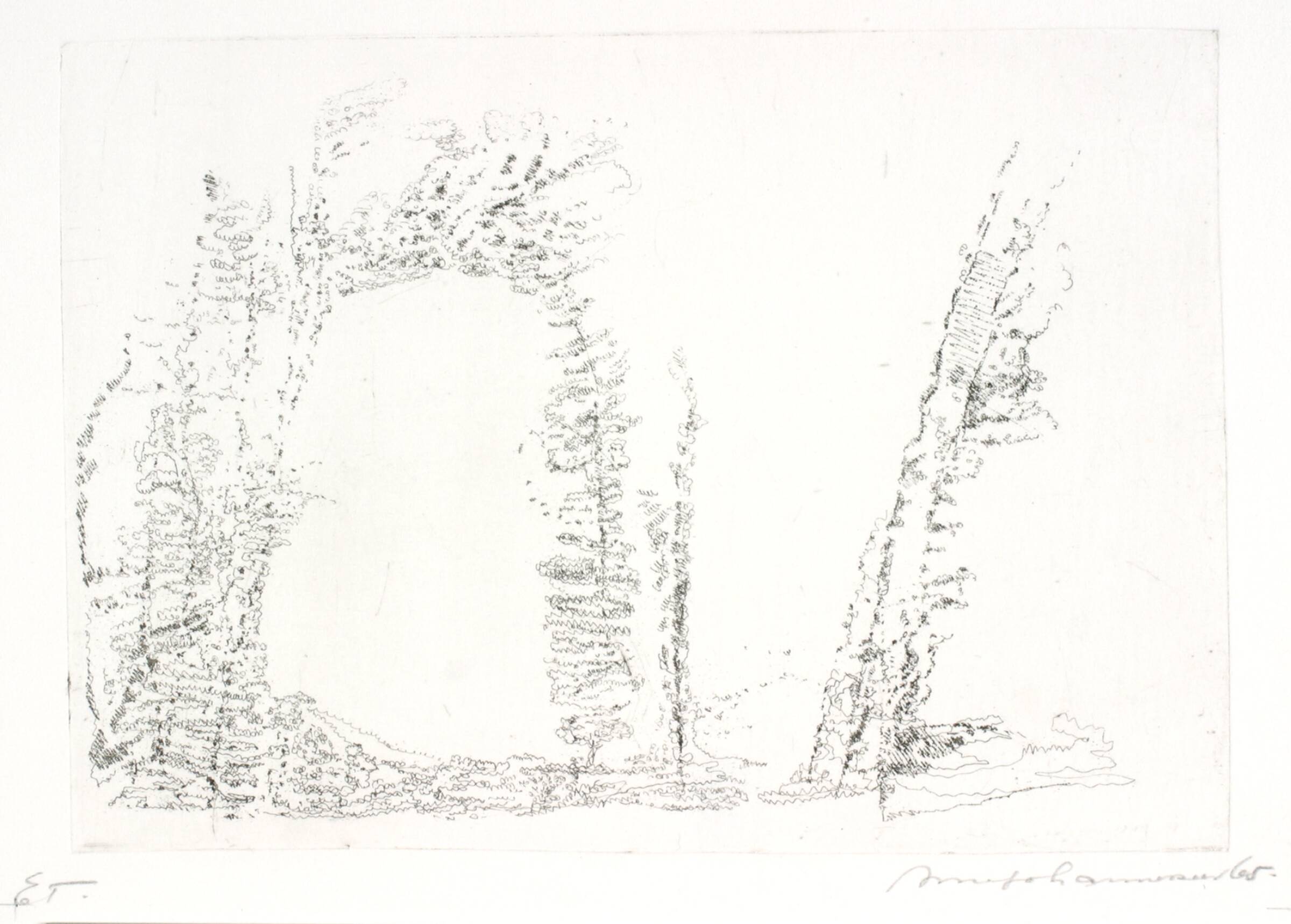 Trægruppe ved Moret, regn, Arne Johannessen, 1965