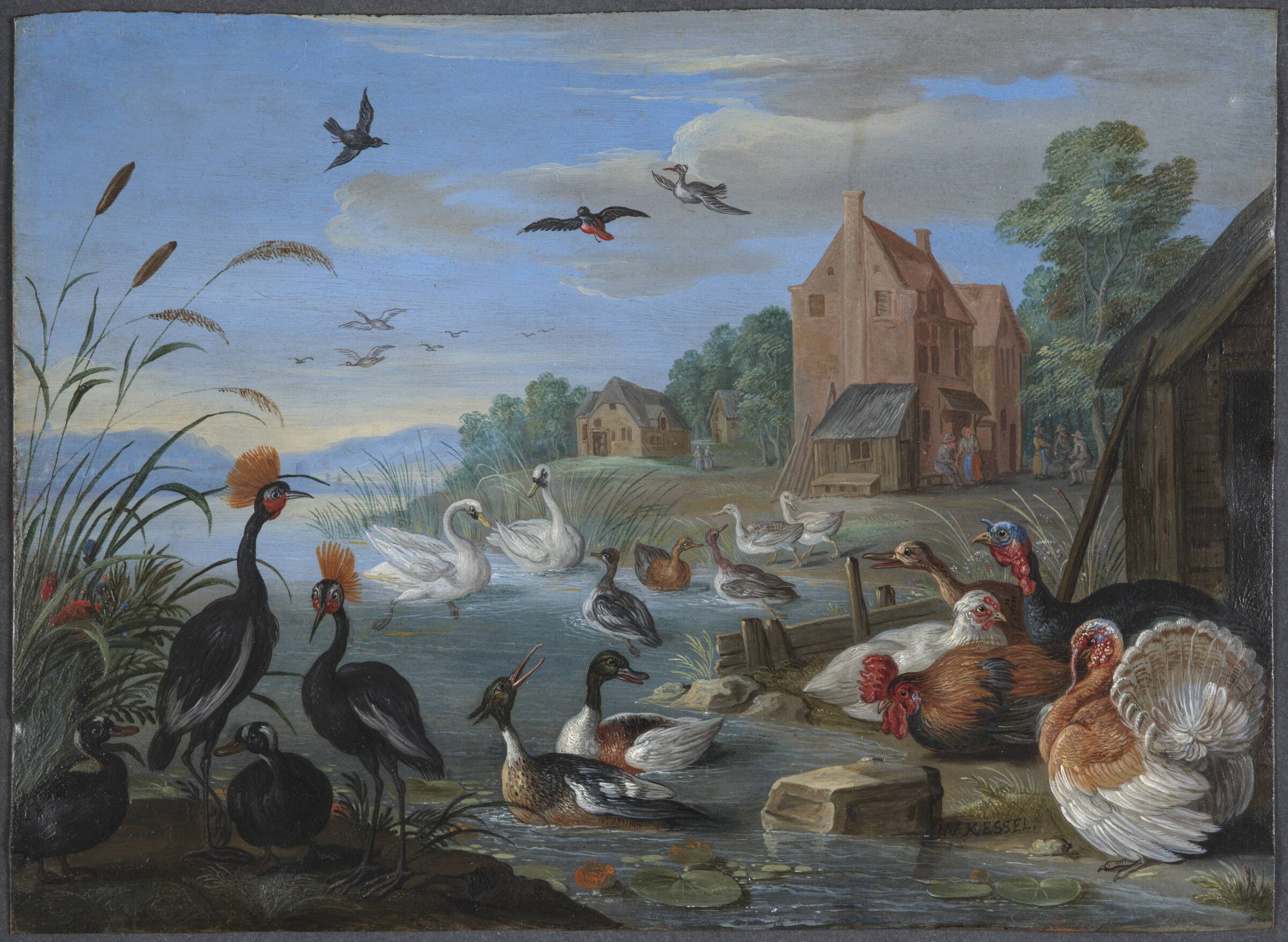 Flodlandskab med kalkuner og høns, Jan van Kessel, 1641-1679