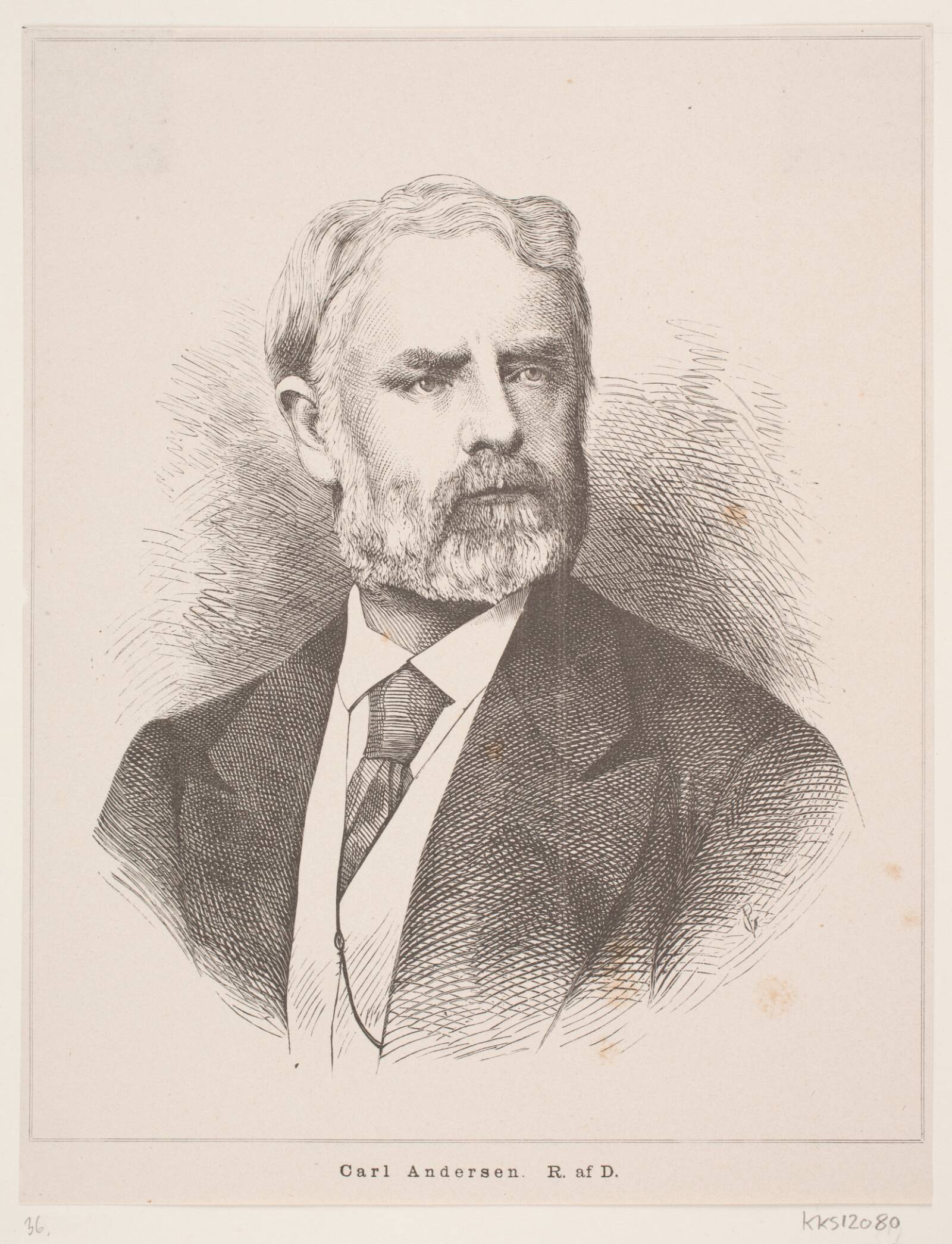 Carl Andersen, Georg Pauli, 1838-1928