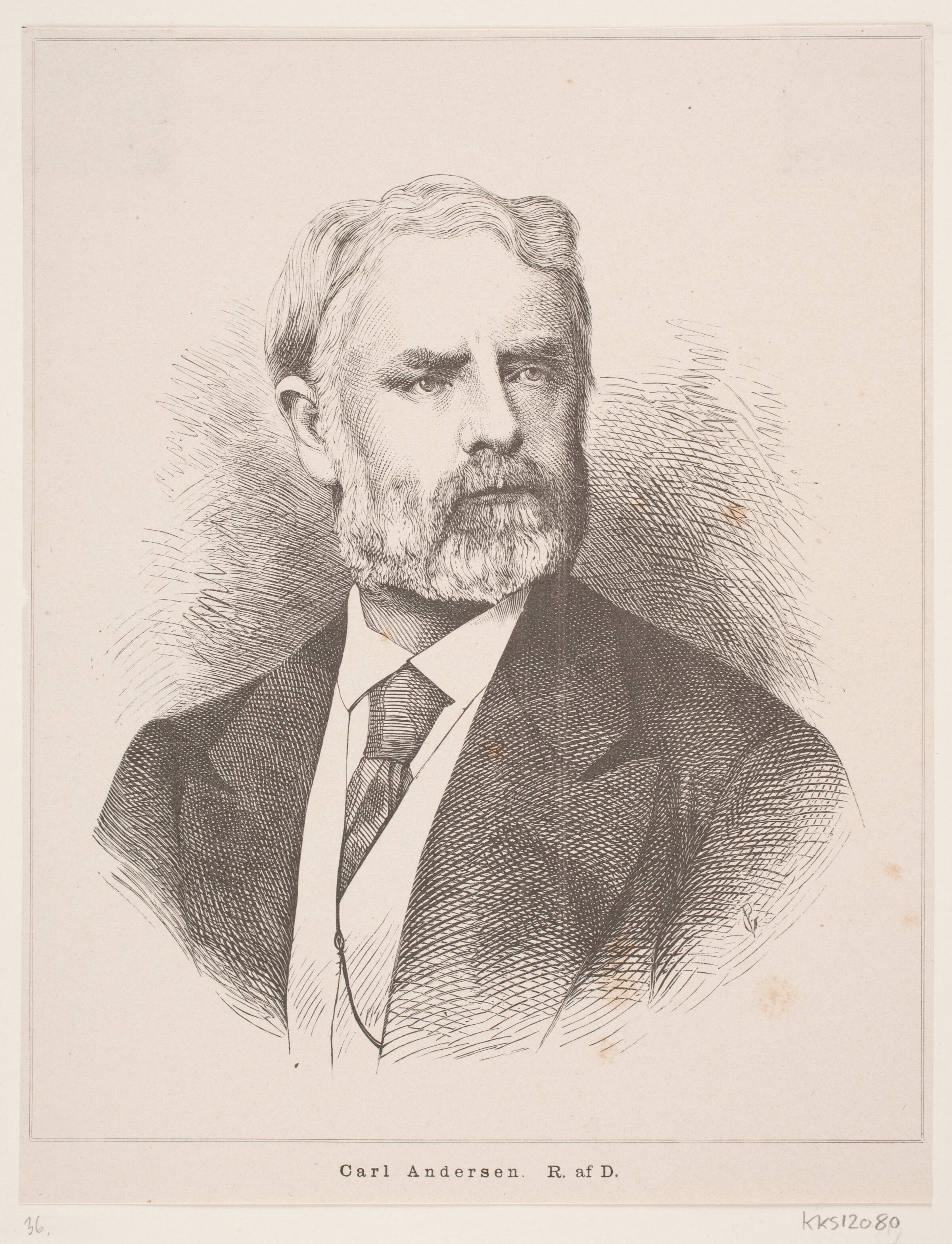 Carl Andersen, Georg Pauli, 1838-1928
