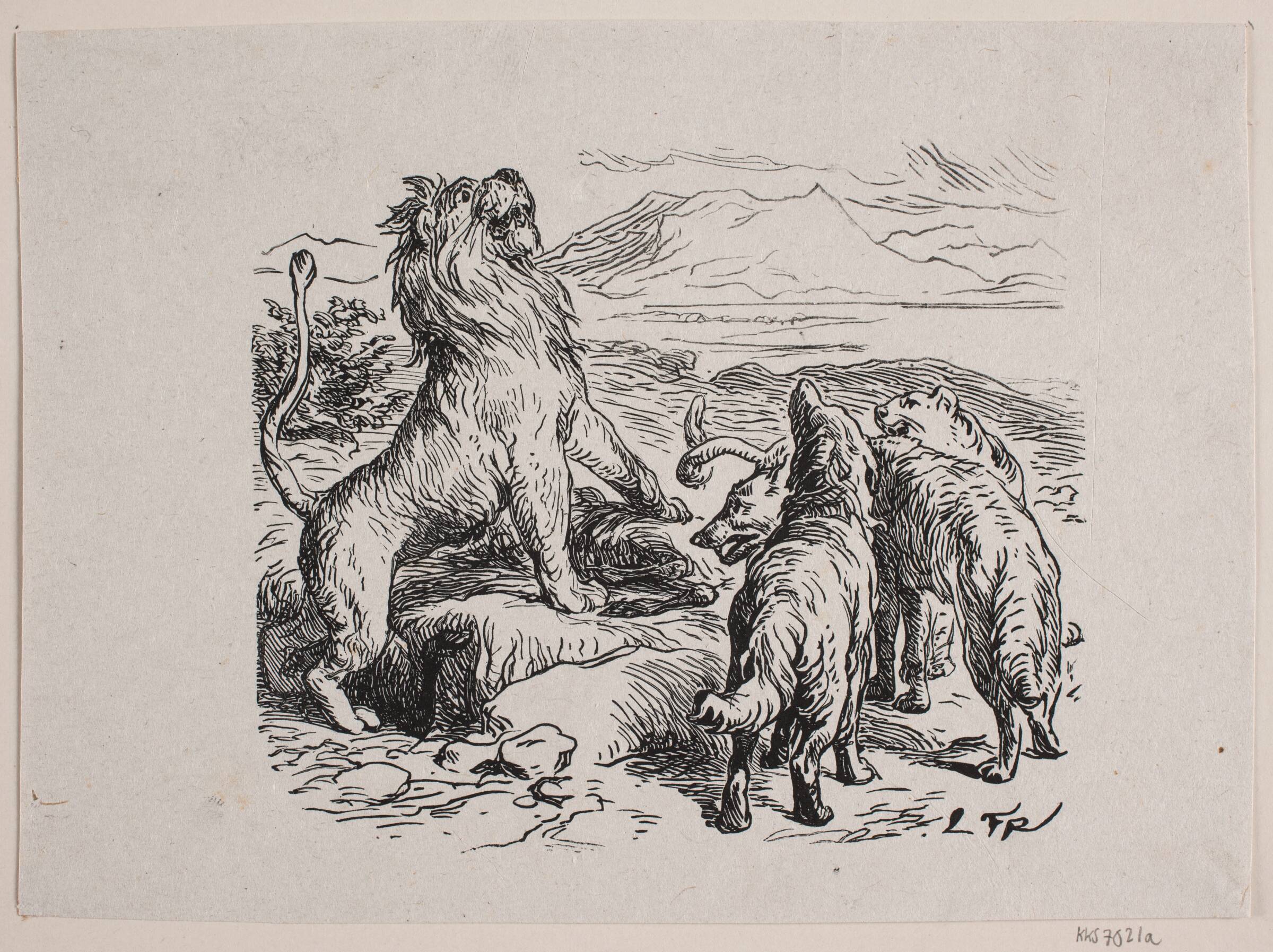 Illustration til "Fablen om løvens jagt", Franz Wilhelm Obermann, 1872