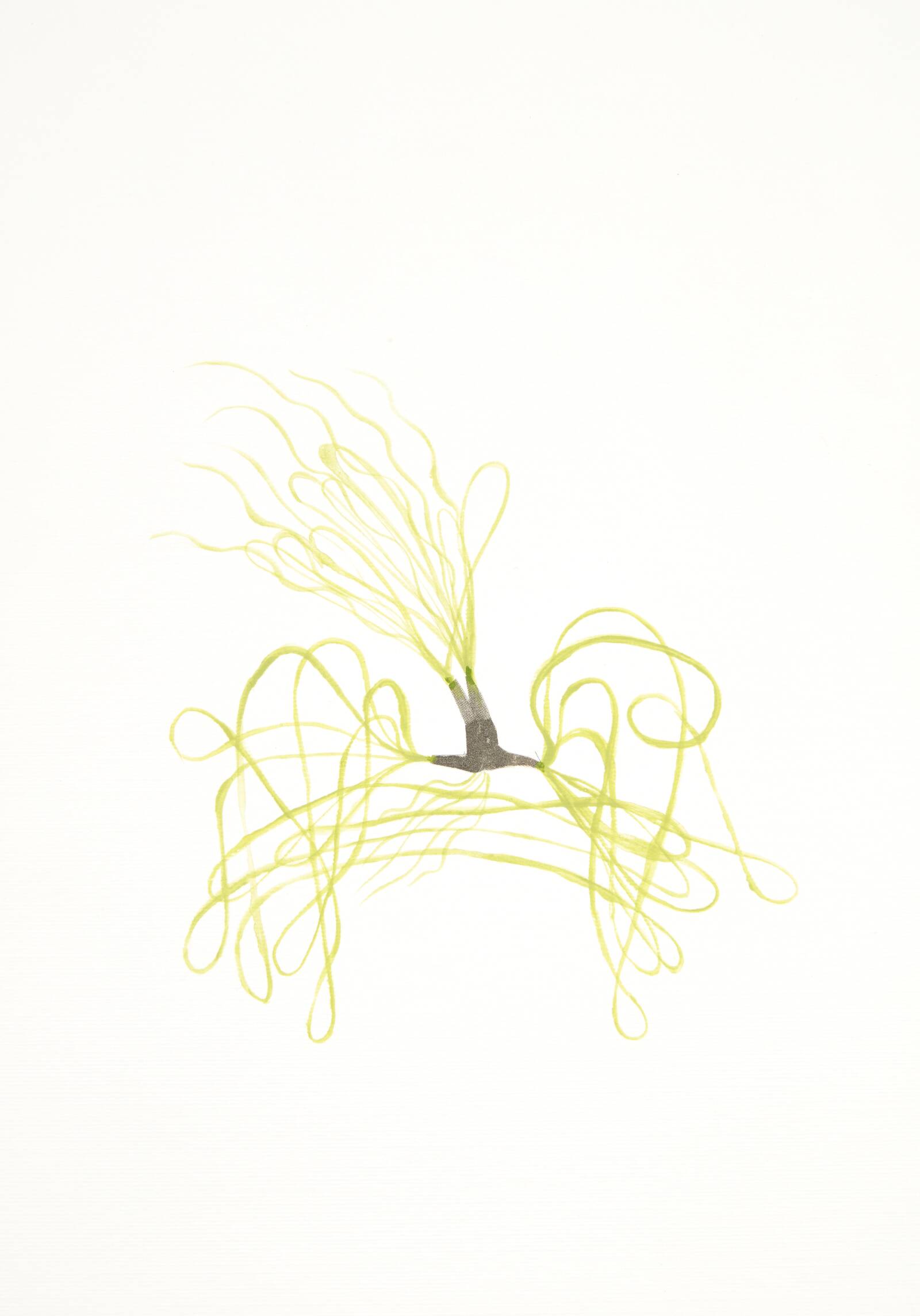 My musical sense, Annika Ström, 1999