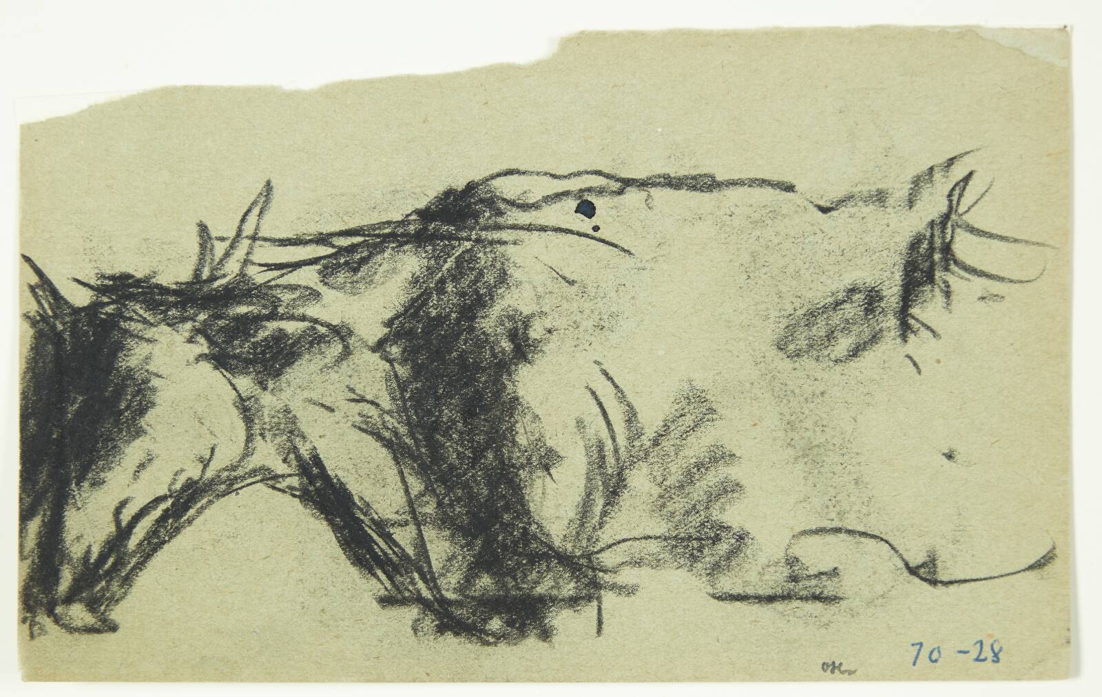 Studie af en ko, Oluf Høst, 1928