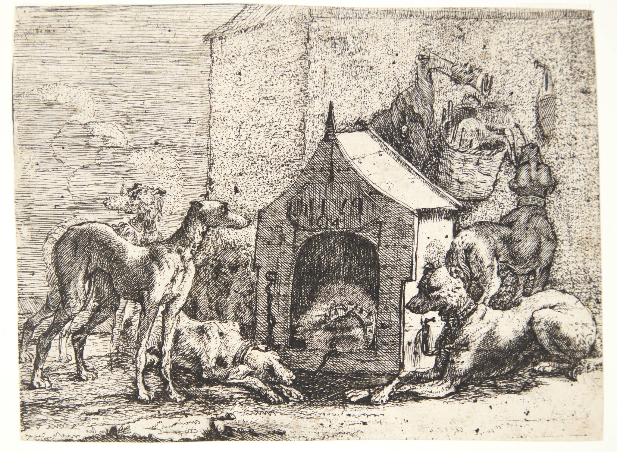Kennel med seks hunde