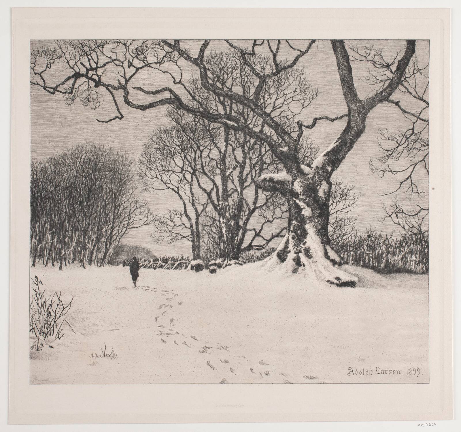 Skov i sne, Adolph Larsen, 1899
