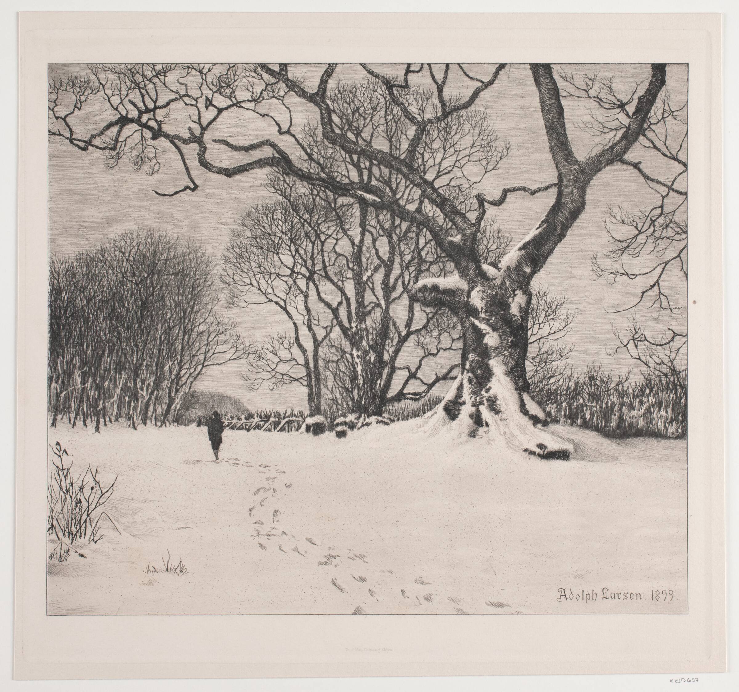 Skov i sne, Adolph Larsen, 1899