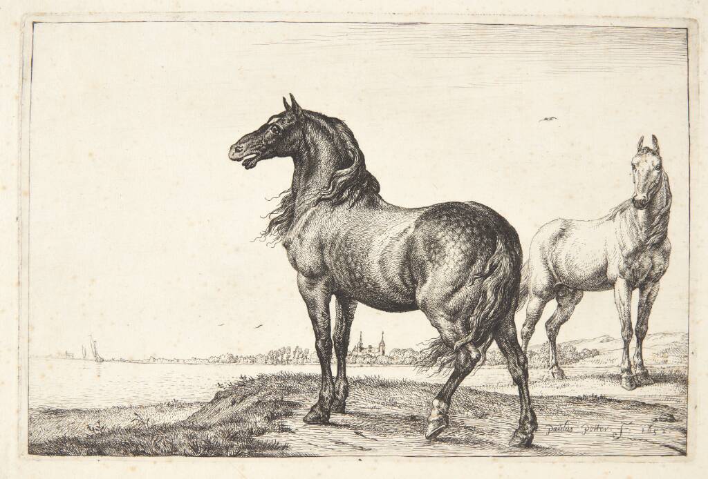 Vrinskende hest, Paulus Potter, 1652