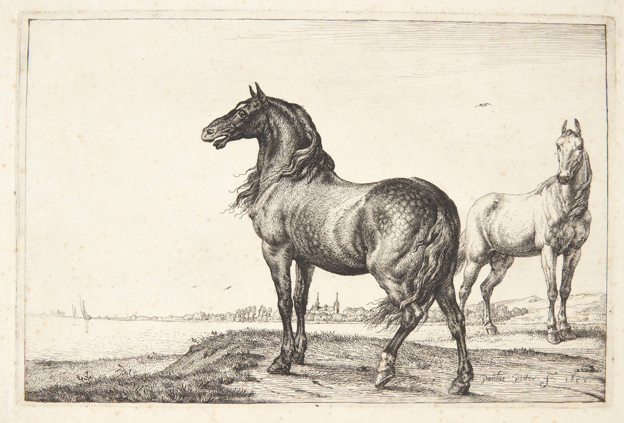 Vrinskende hest