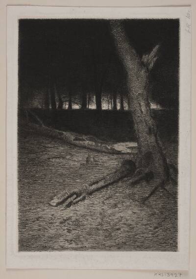 Skovindre. Aften