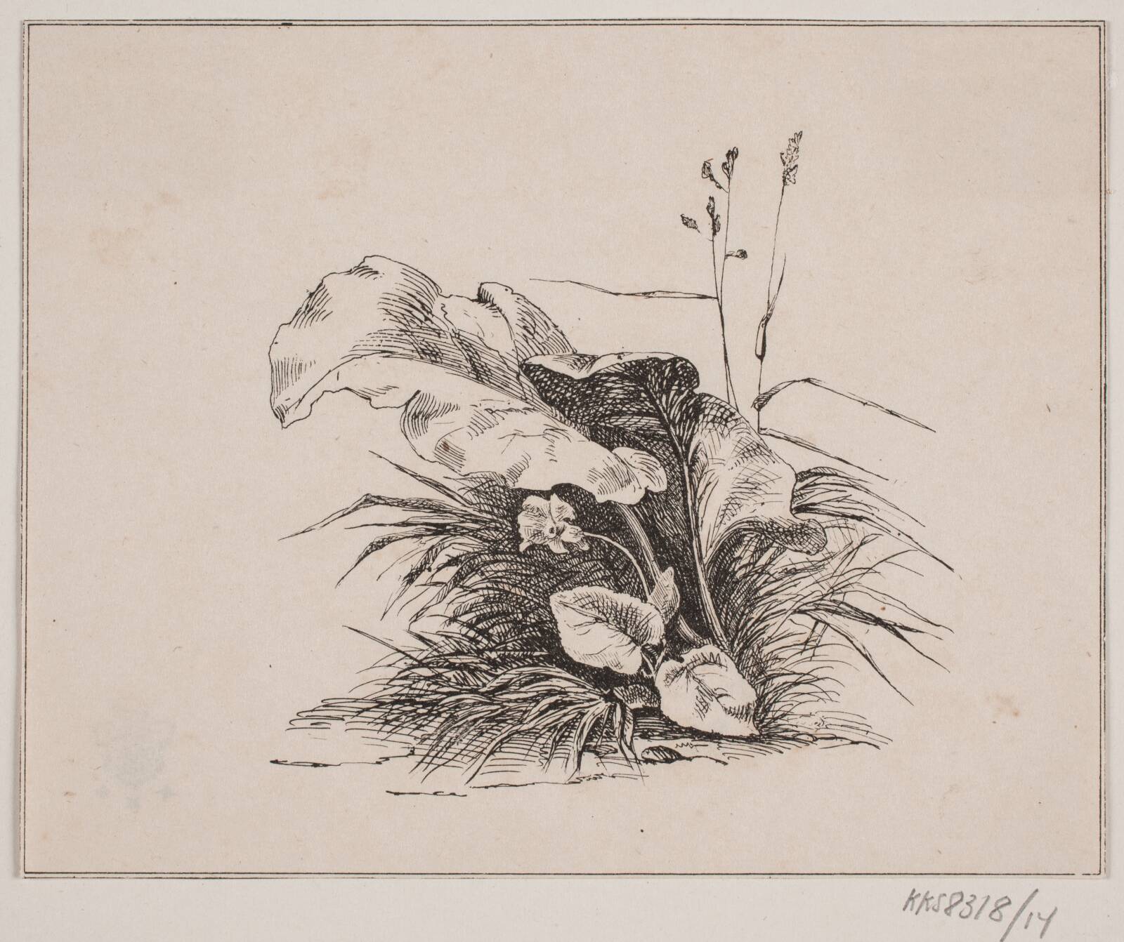 Fiolen, Adolph Kittendorff, 1845
