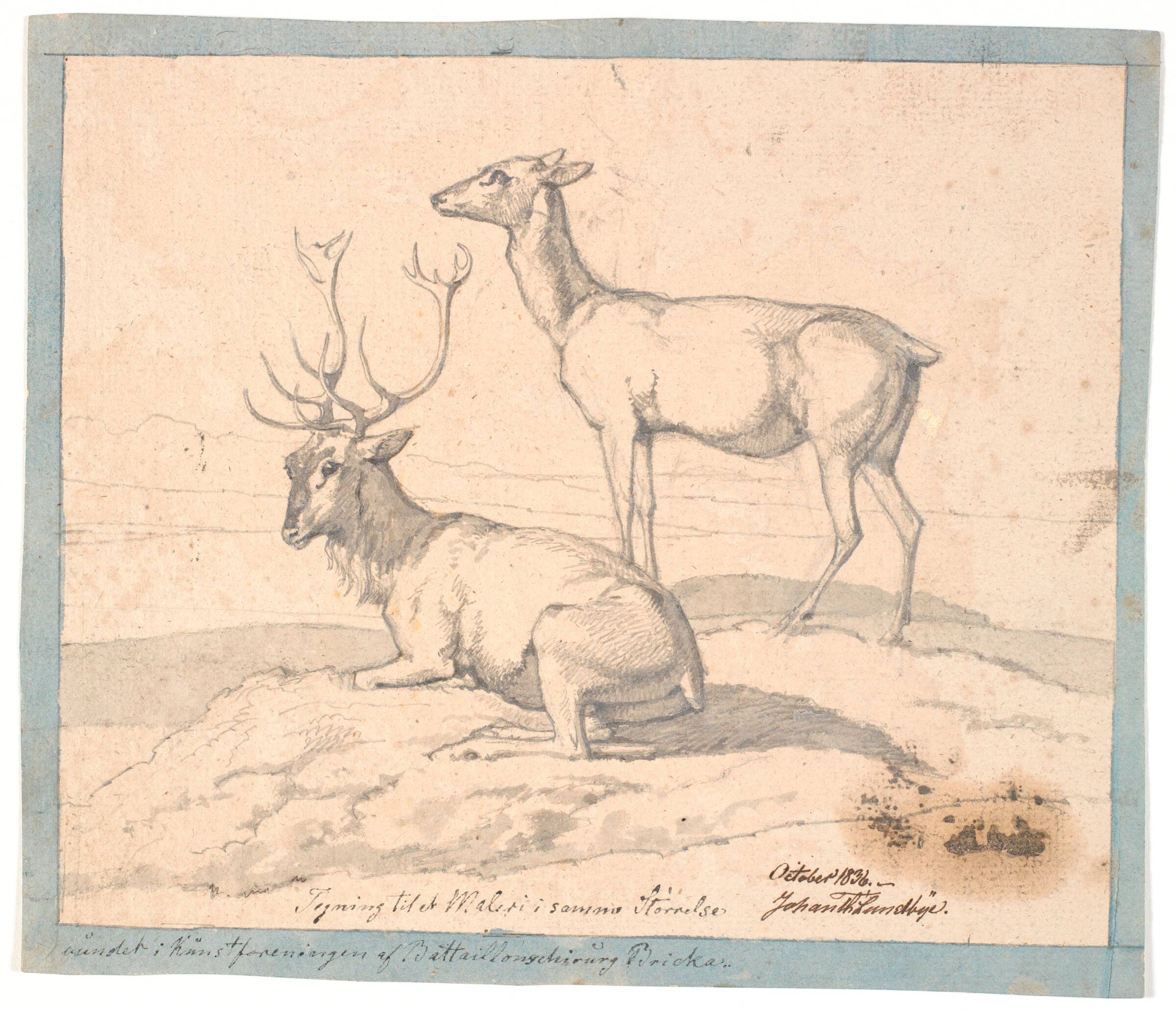 En liggende hjort og en stående hind, Johan Thomas Lundbye, 1836