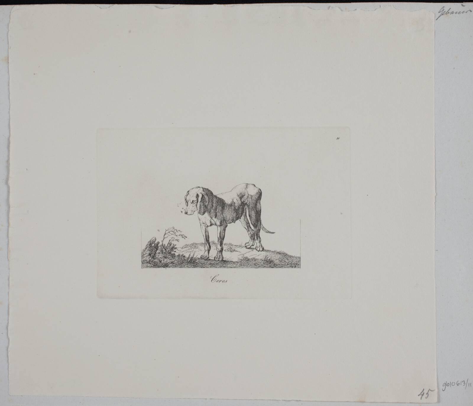 Ceres, Christian David Gebauer, 1821