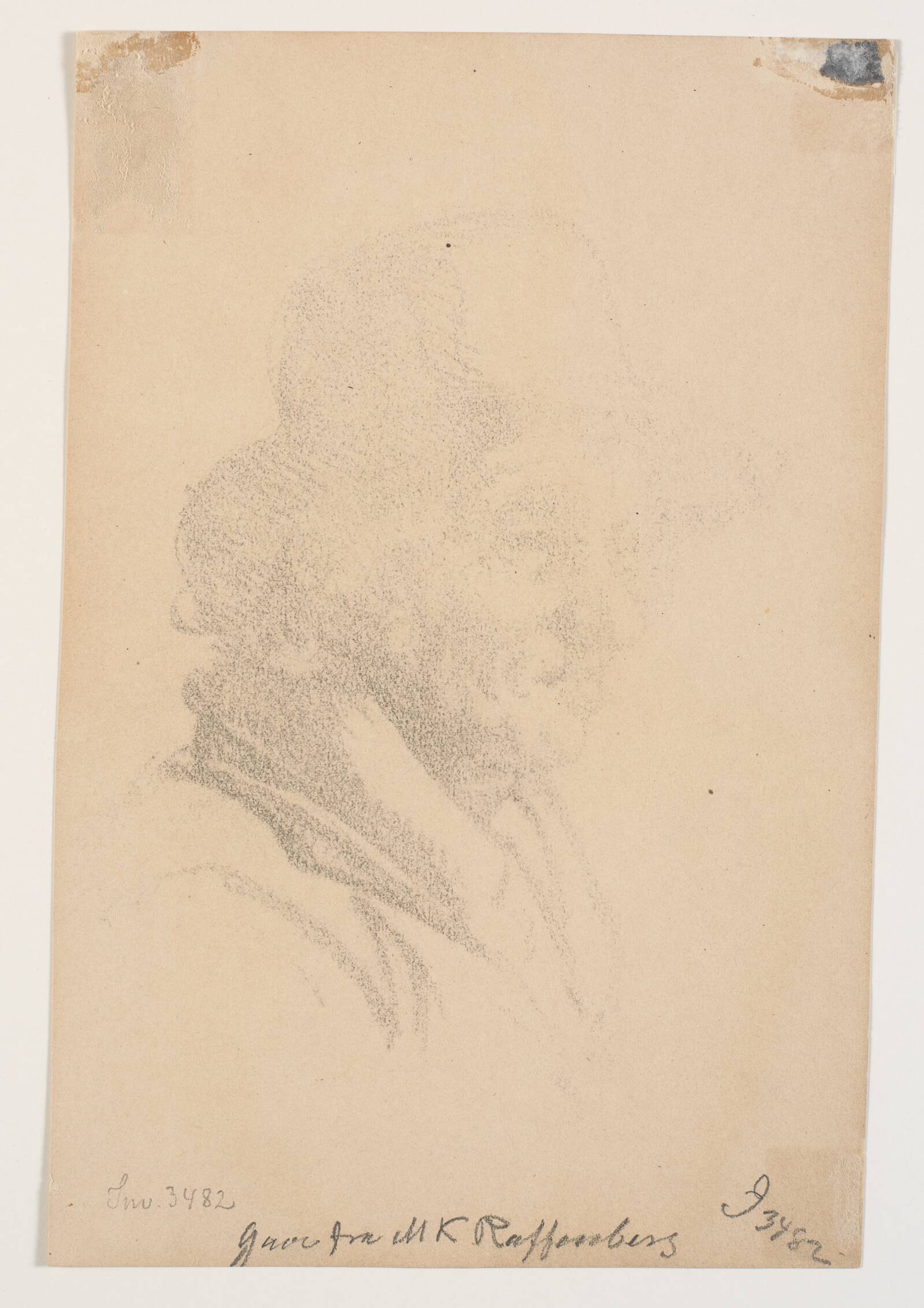 Mandshoved, Viggo Johansen, 1873-1874