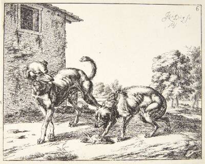 En jaloux hund