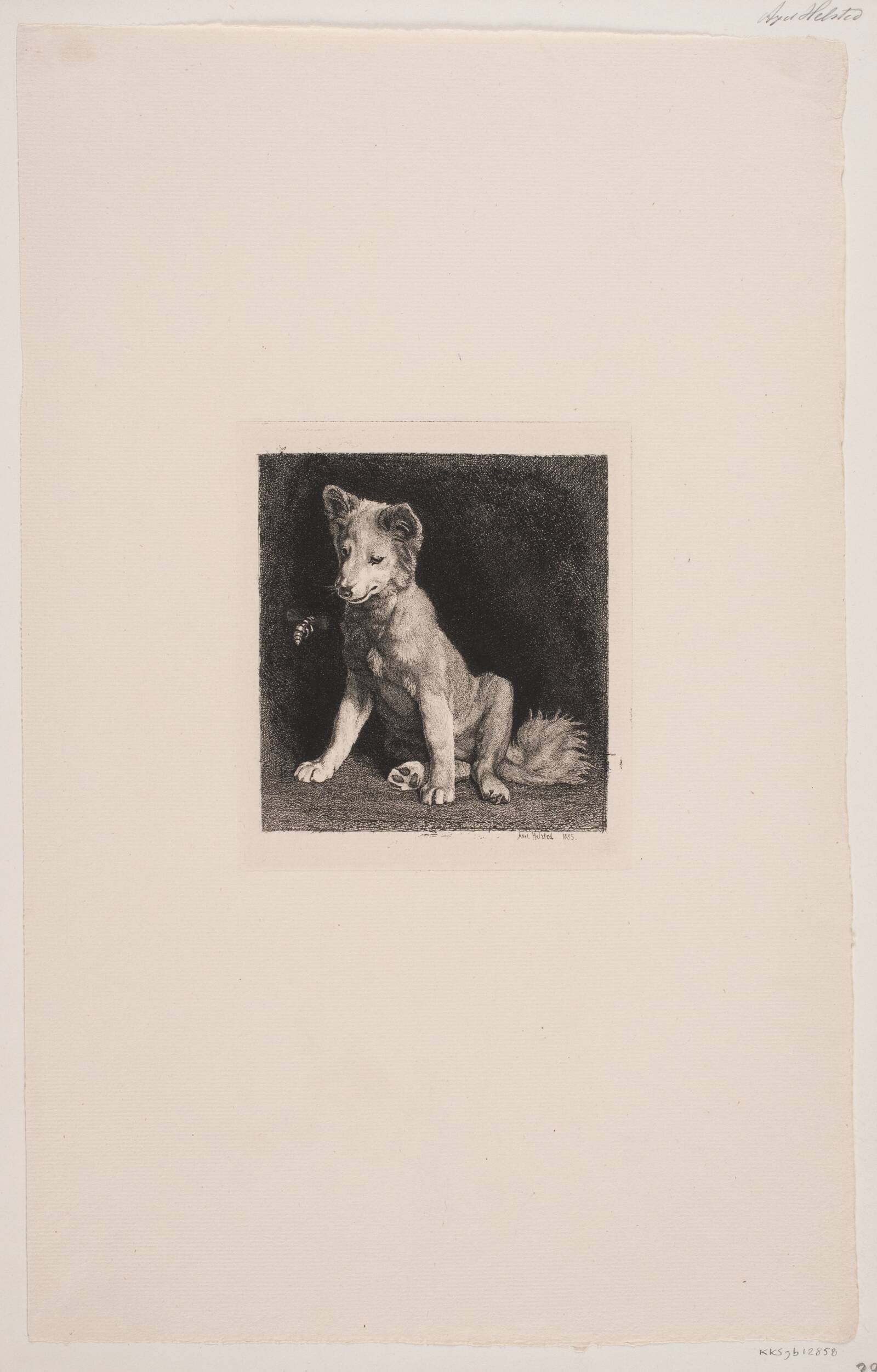 Hunden og bien, Axel Helsted, 1885