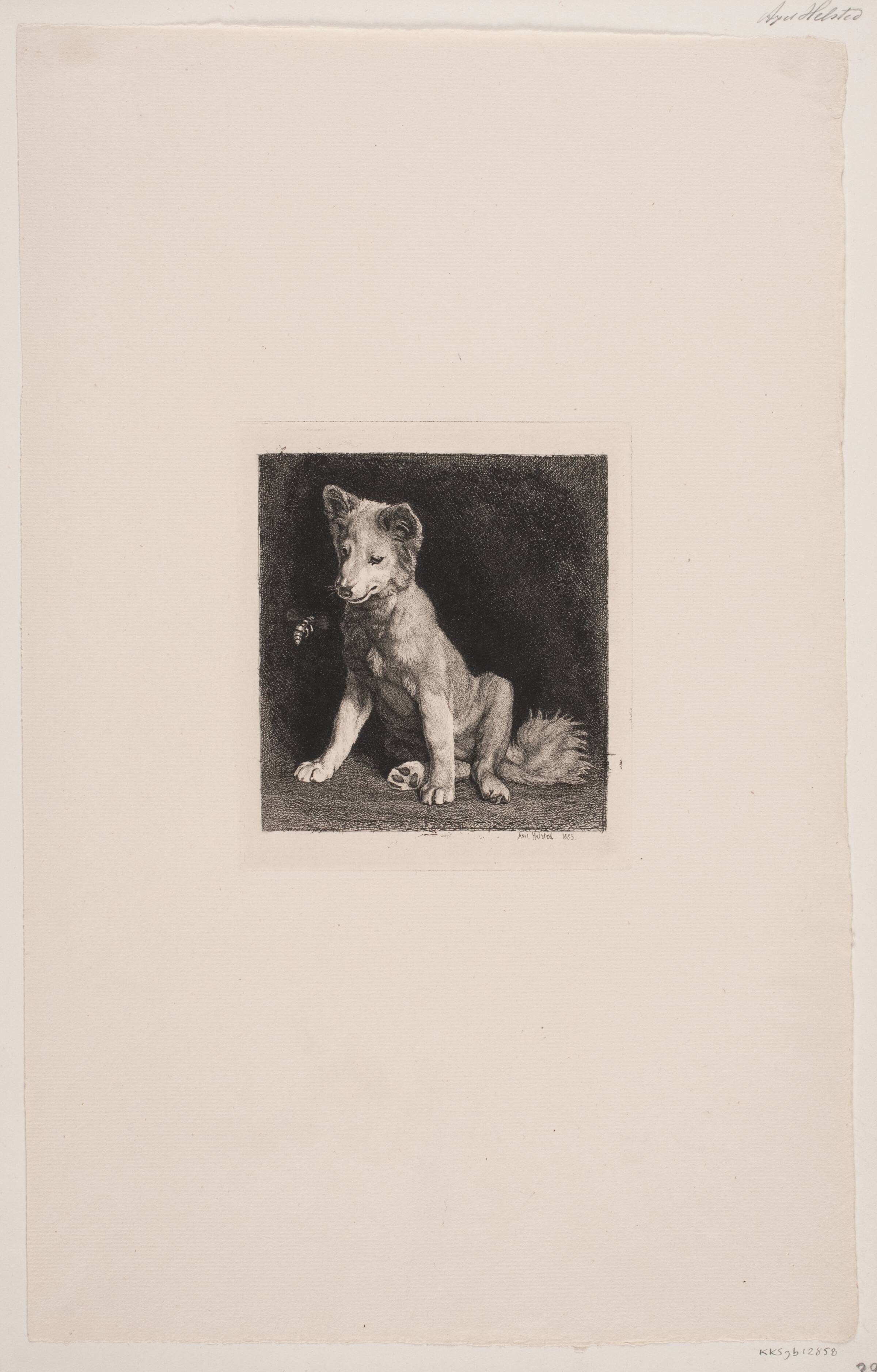 Hunden og bien, Axel Helsted, 1885