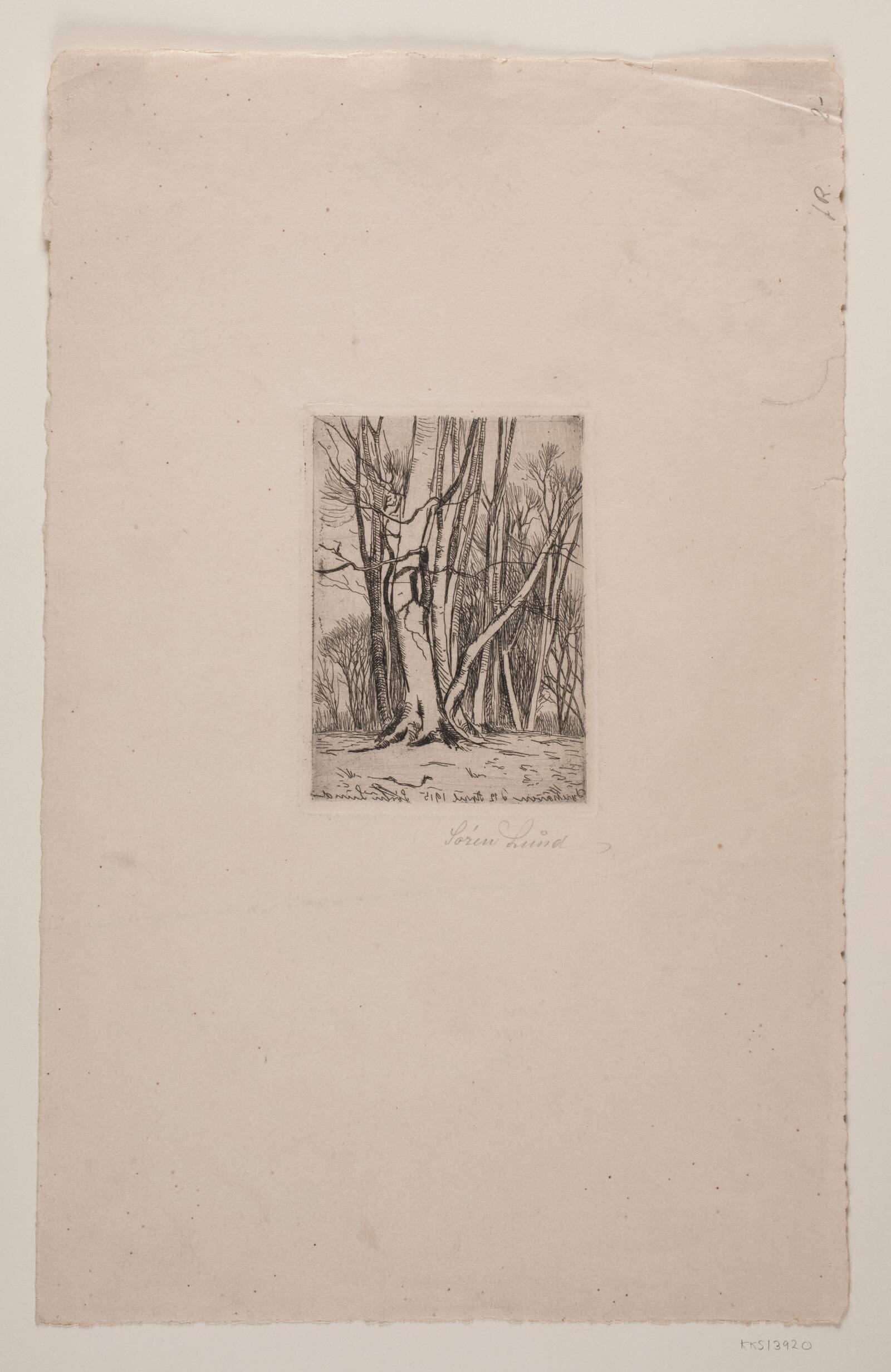 Dyrehaven, Søren Lund, 1915