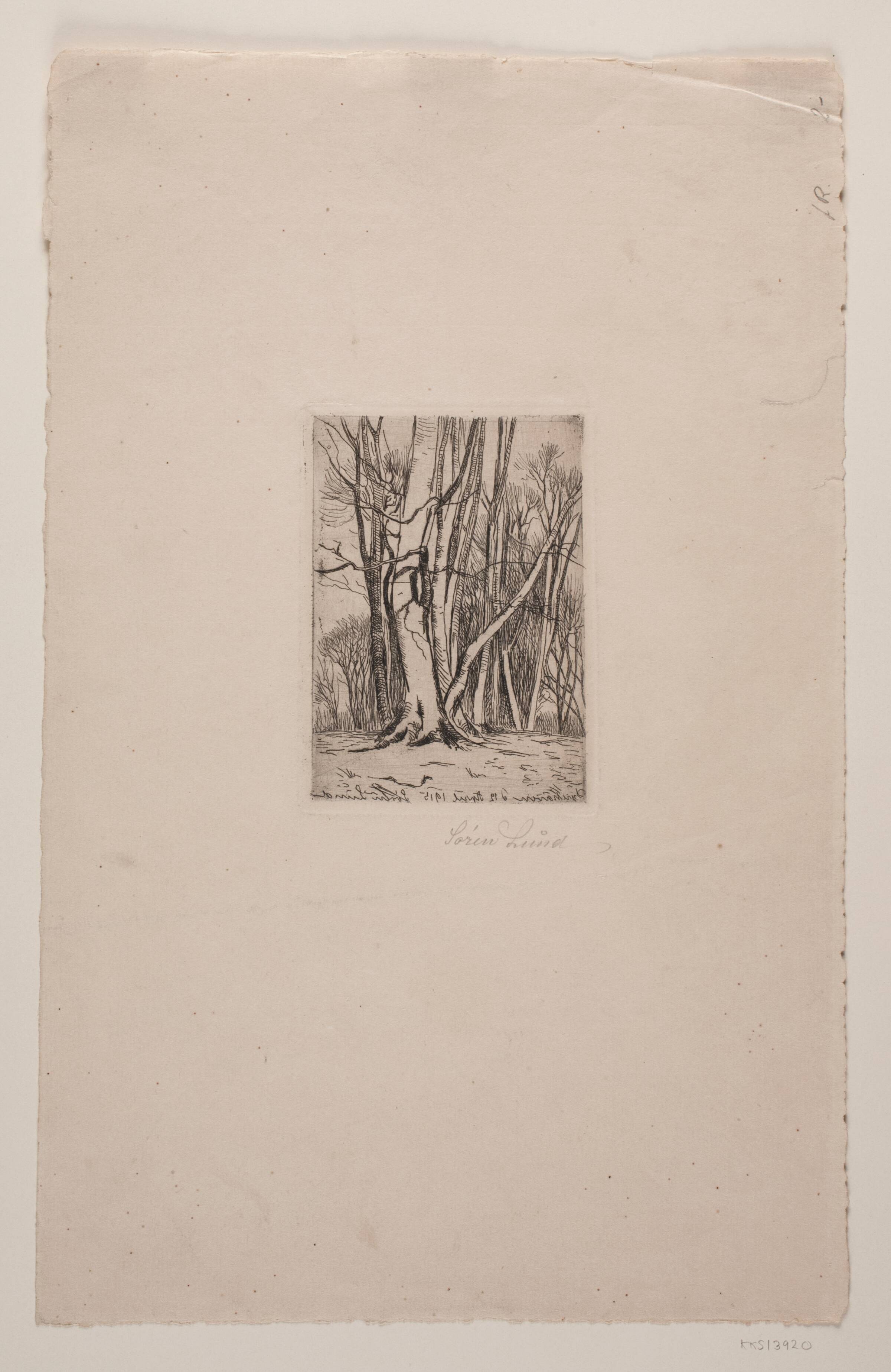 Dyrehaven, Søren Lund, 1915