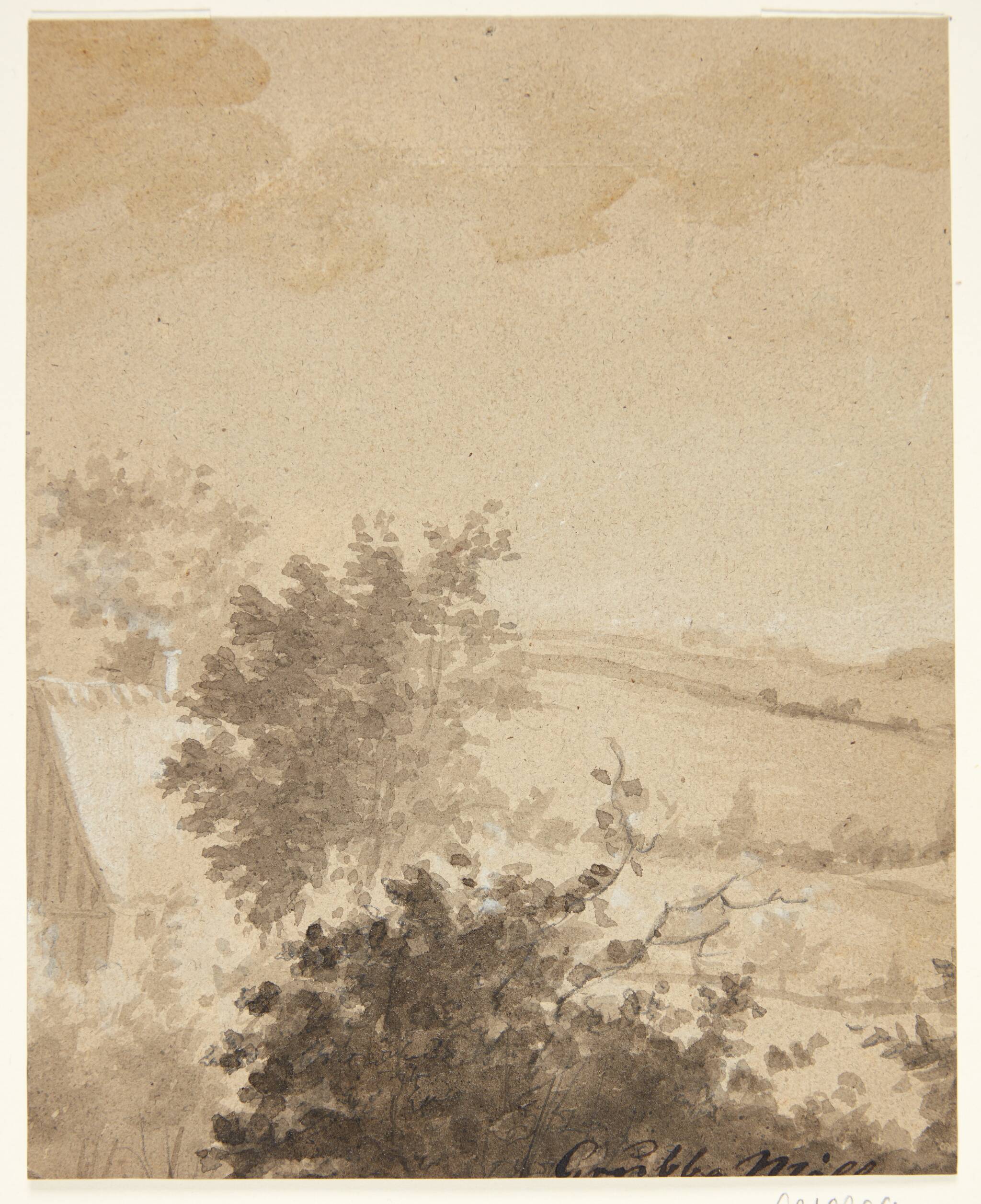 Grubbe Møller