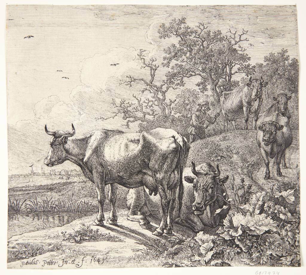 Kohyrden, Paulus Potter, 1649