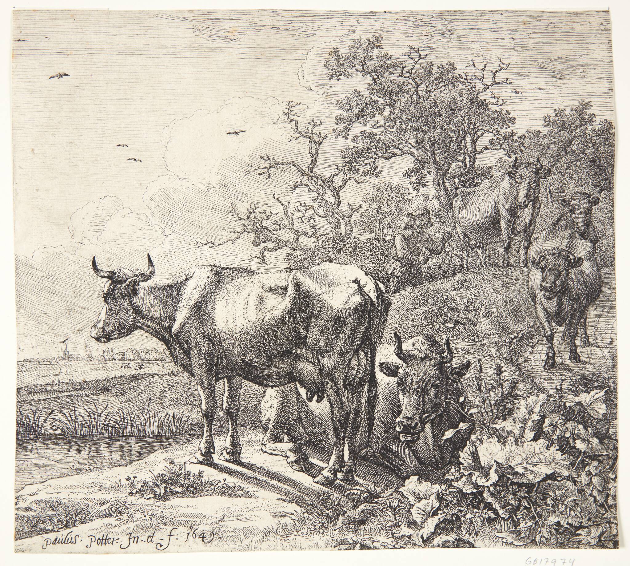 Kohyrden