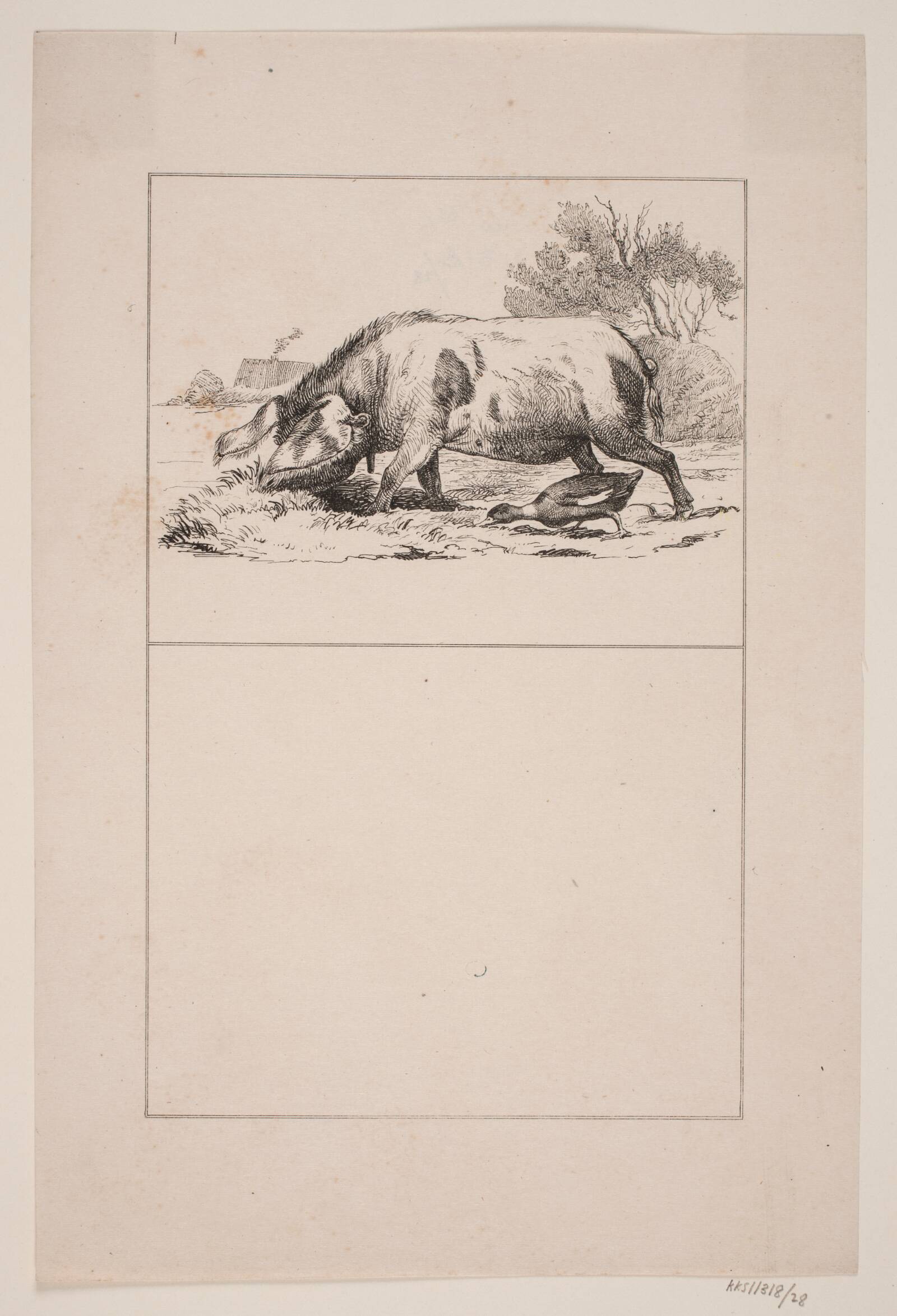 Svinet og anden, Adolph Kittendorff, 1845