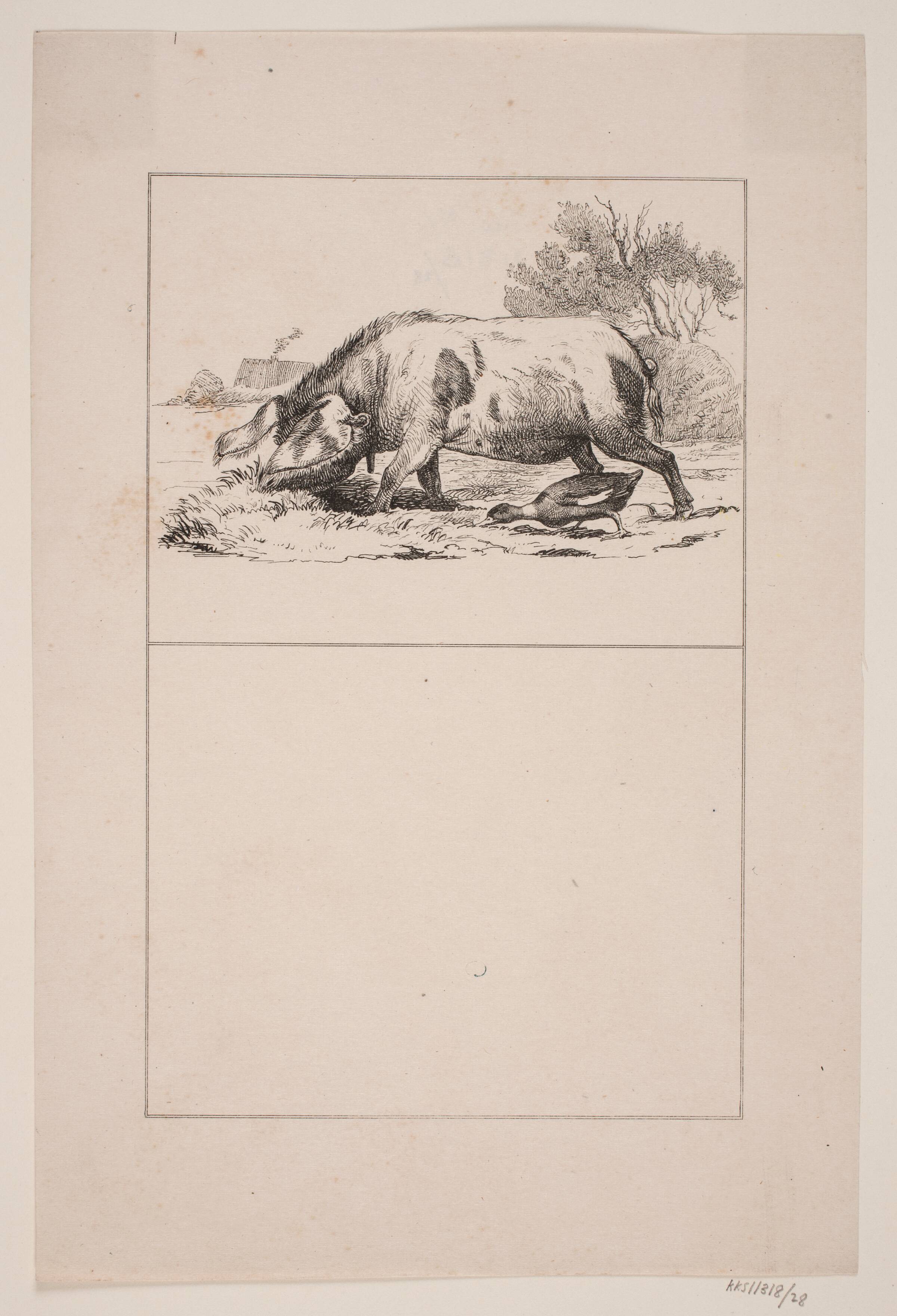 Svinet og anden, Adolph Kittendorff, 1845