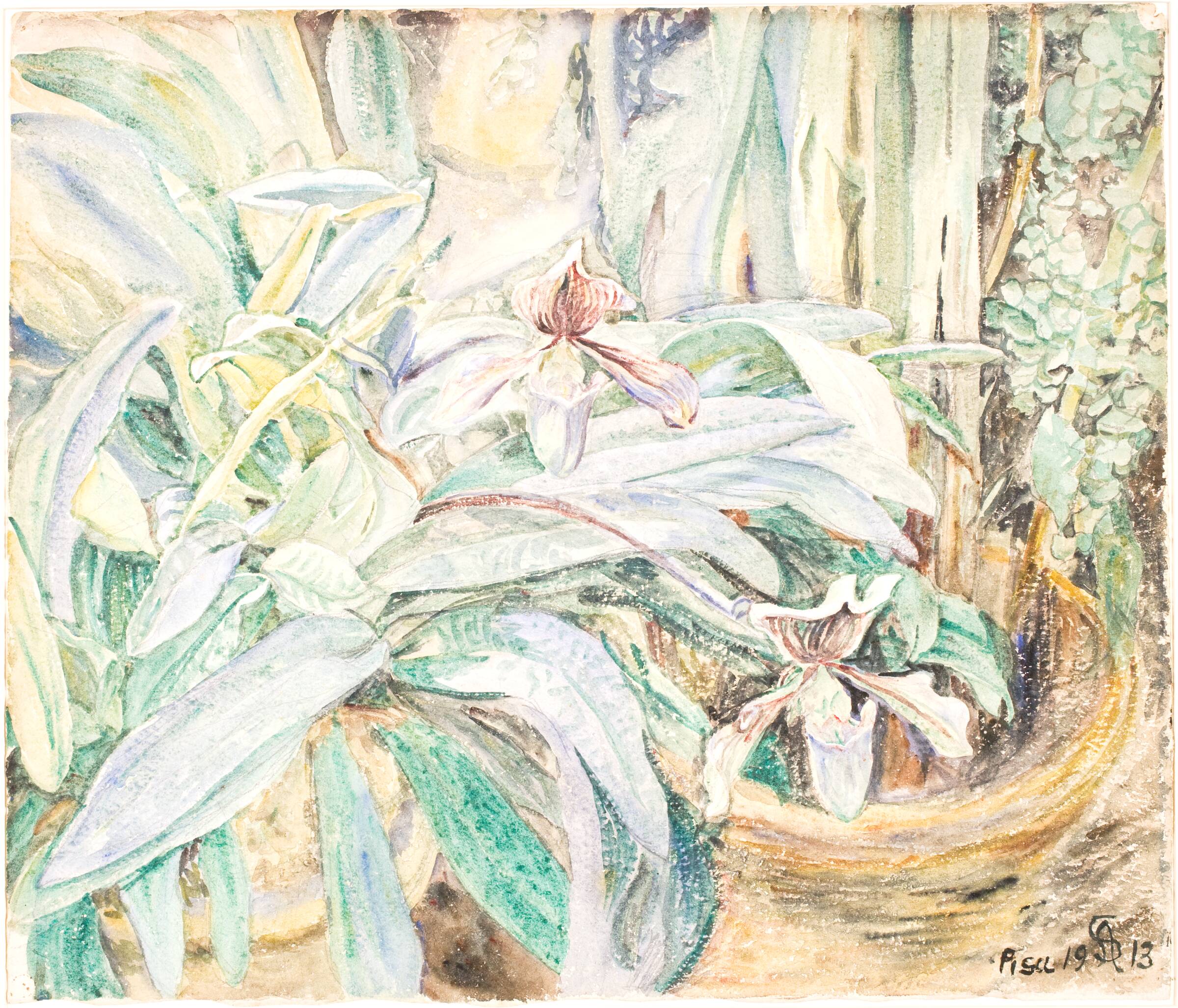 Orkideer, Botanisk Have, Pisa, Anna Syberg, 1913
