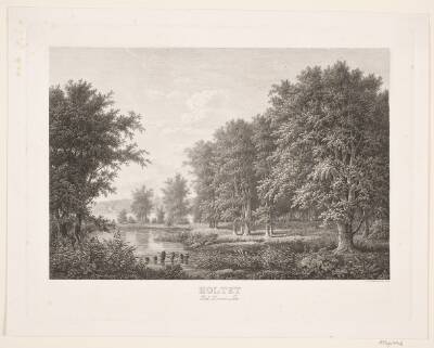 Holtet