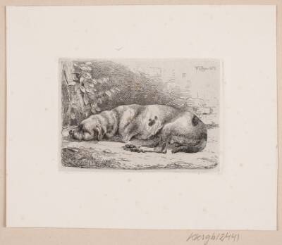 En sovende hund
