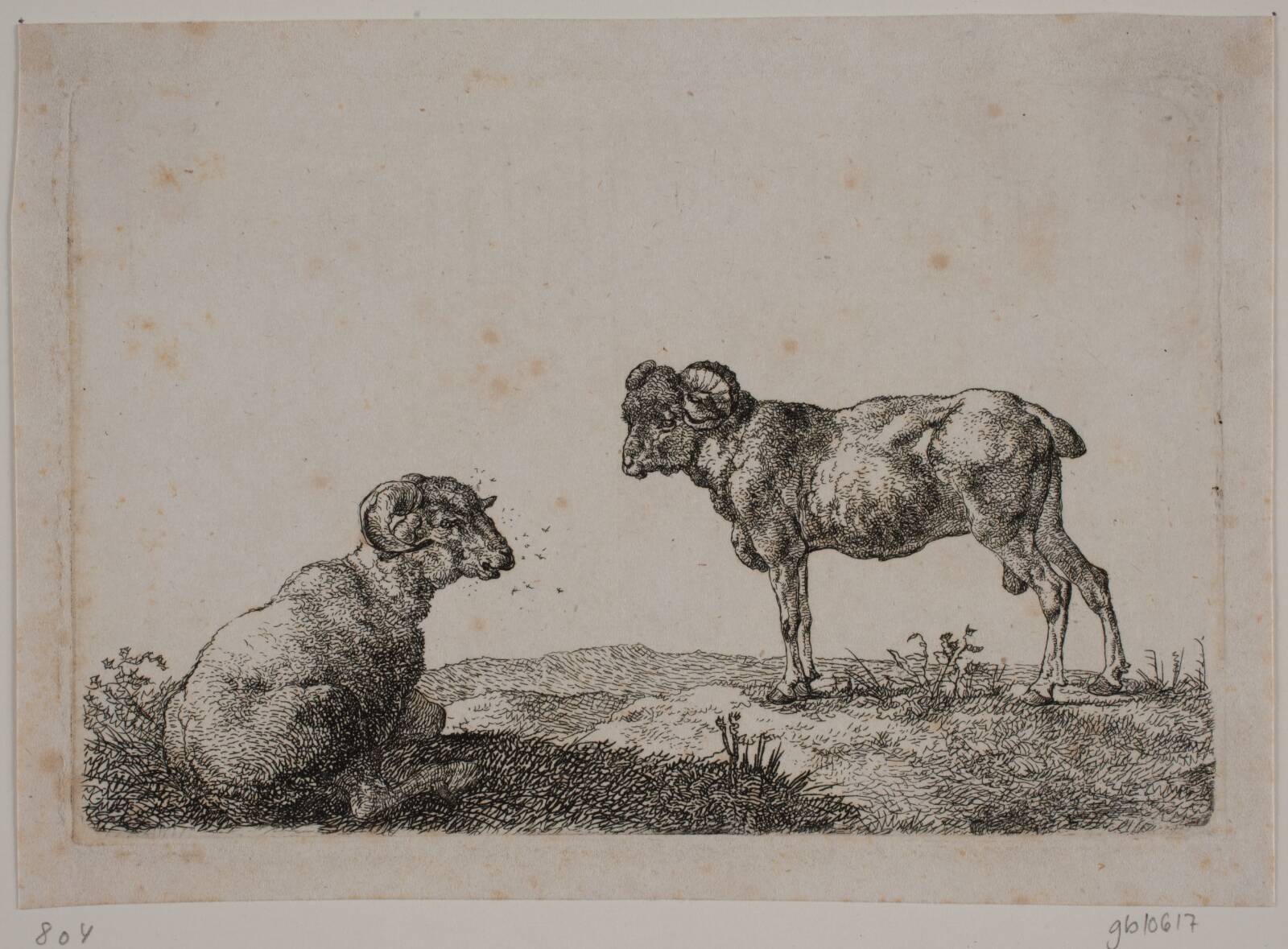 To væddere, Christian David Gebauer, 1825
